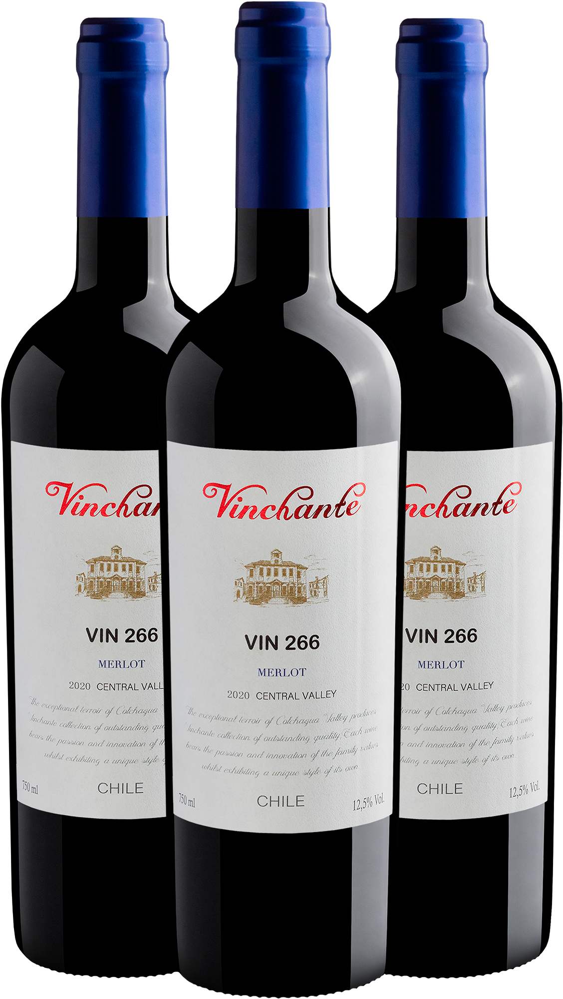 Kit Vinchante Merlot 2020
