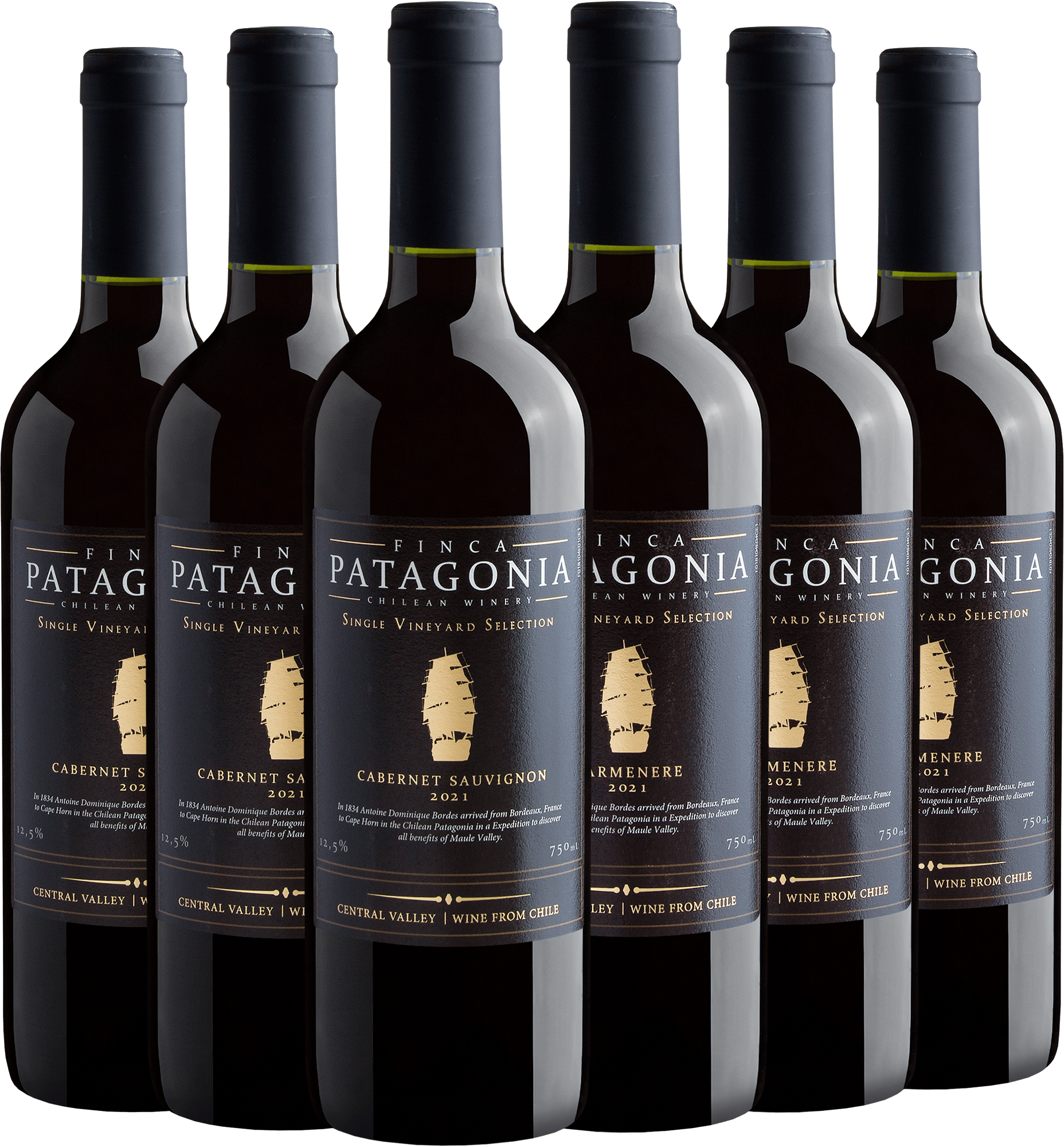 Kit Seleção Finca Patagonia: 3 Cabernet Sauvignon + 3 Carménère por R$199,80