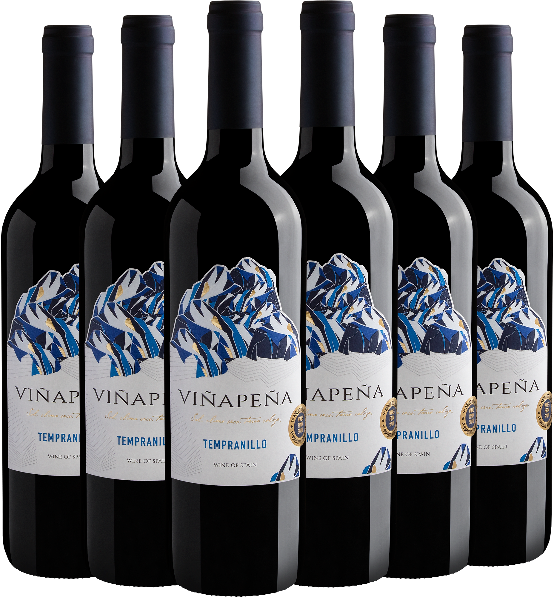Kit 6 Viñapeña Tempranillo por R$29,90 cada garrafa*