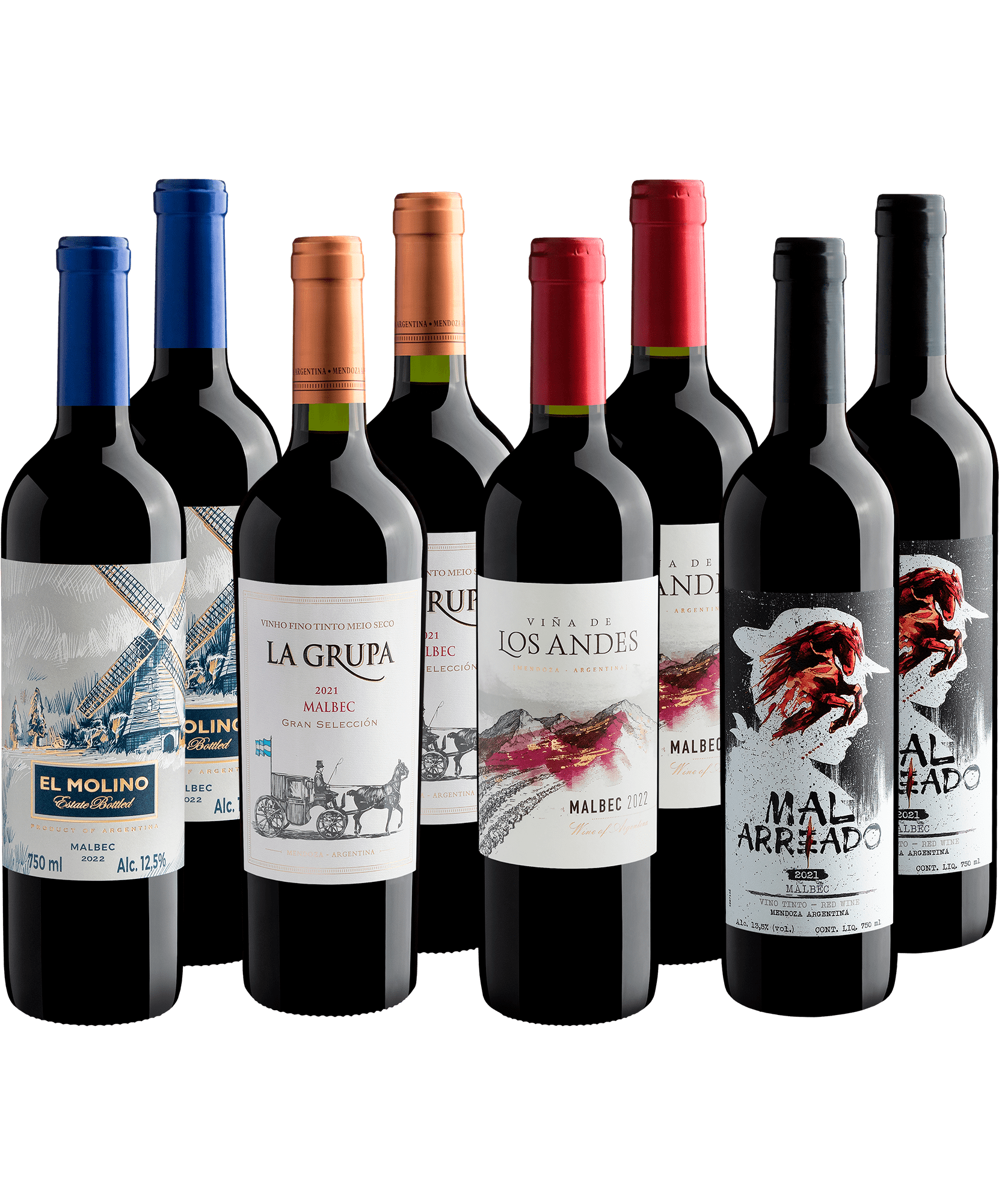 Kit Malbecs Argentinos em Dobro | 8 garrafas por R$28,90 cada