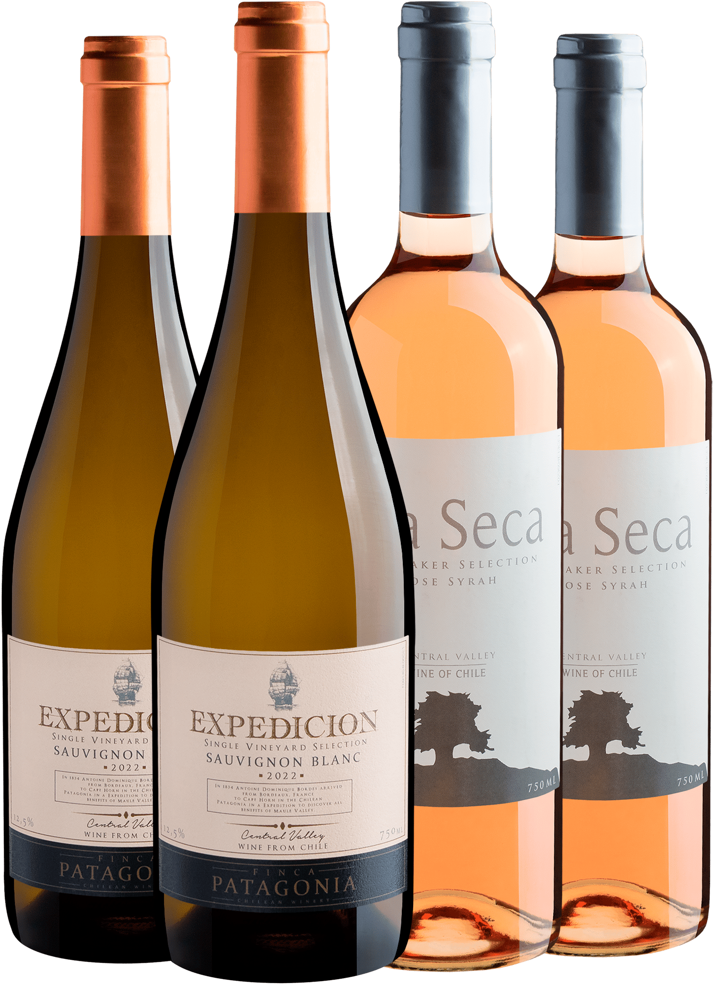 Kit Vinhos Chilenos: 2 Finca Patagonia Sauvignon Blanc + 2 Isla Seca Syrah por R$29,90 cada garrafa