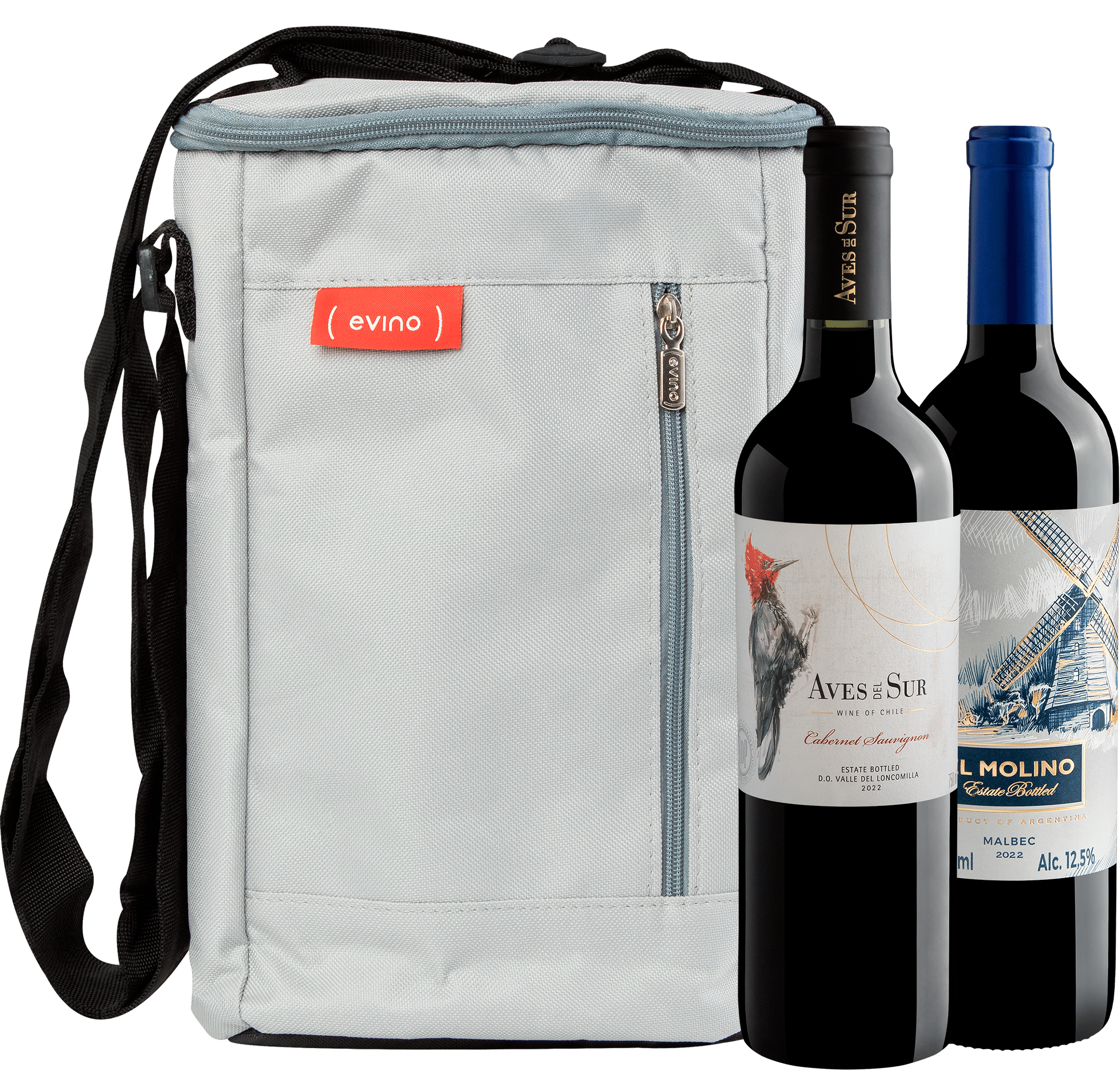 Kit 2 Vinhos Tintos + Bolsa Térmica Exclusiva