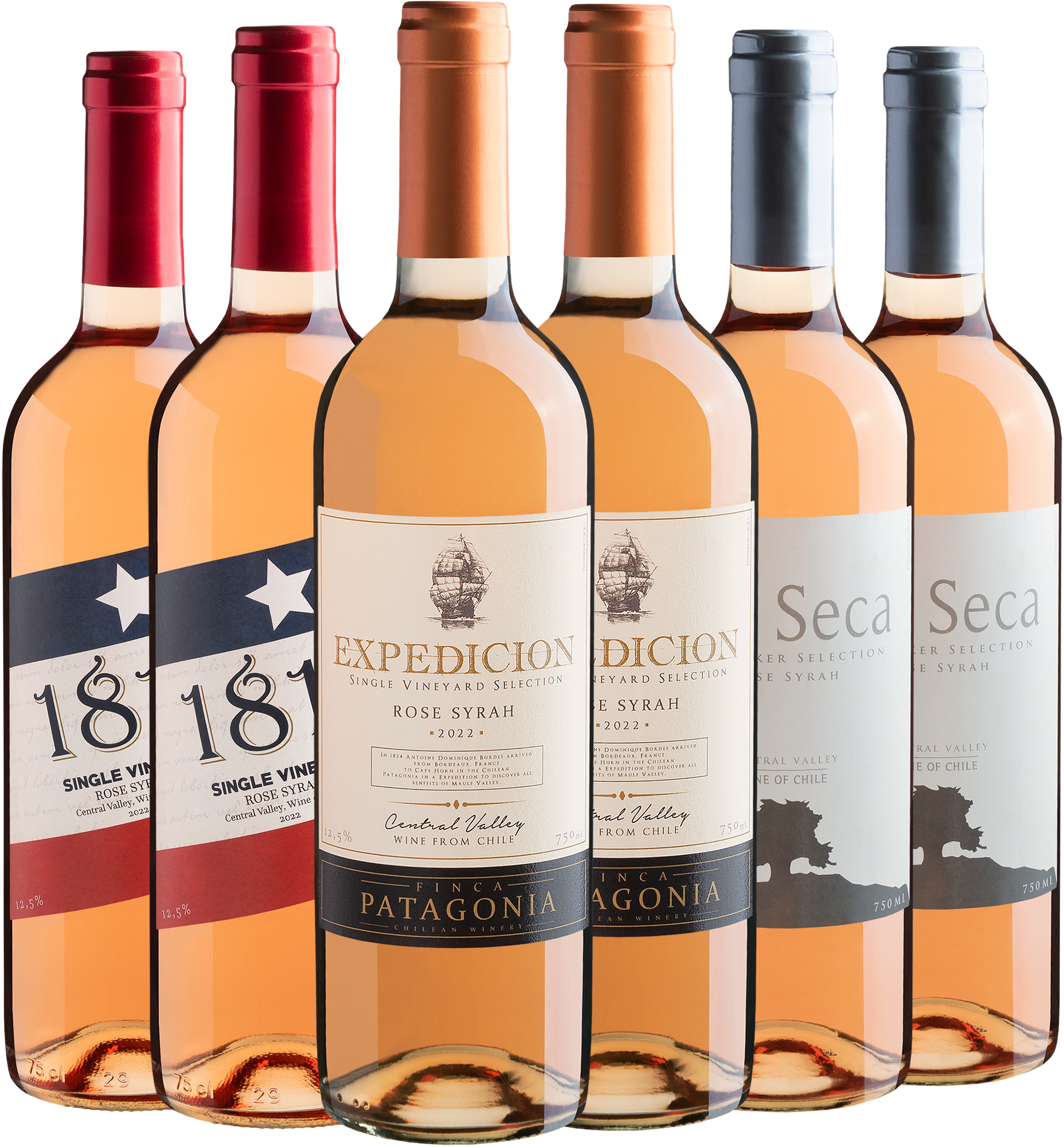 Kit 6 Rosés Chilenos por R$25,90 cada garrafa