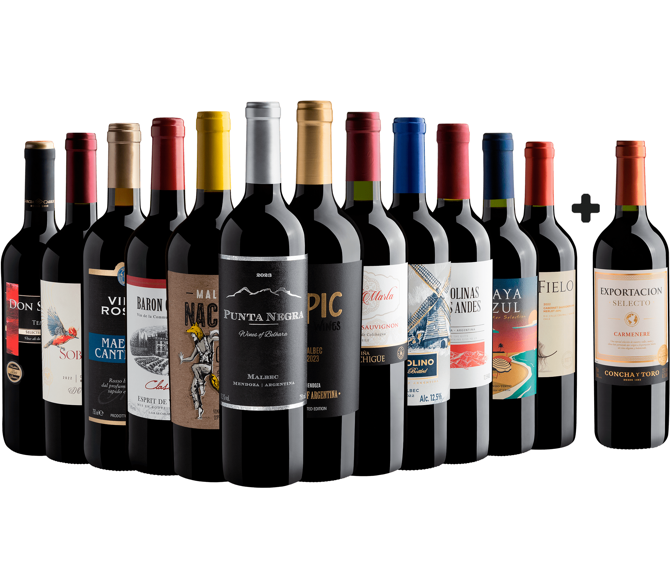 Kit 12 Vinhos por R$29,90 cada garrafa + Exportacion Selecto Carménère Grátis