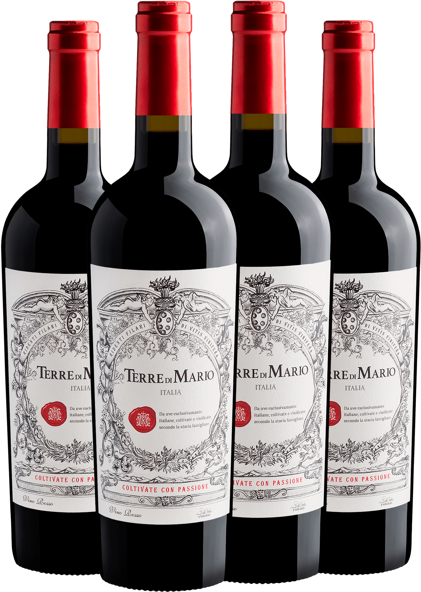 Kit 4 Terre di Mario Vino Rosso-Abboccato