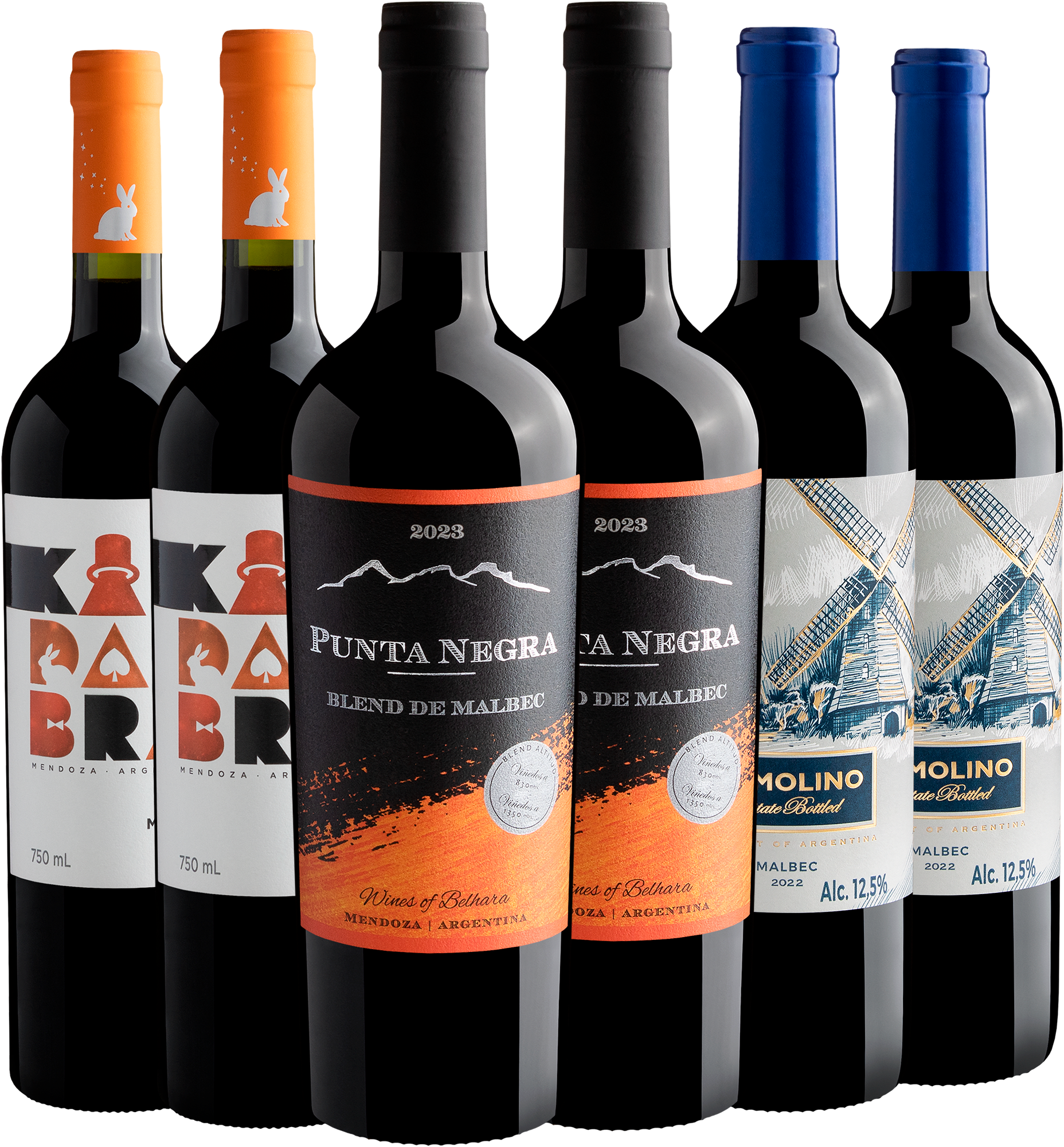 Kit Malbecs Best Sellers | 6 garrafas por R$39,90 cada 