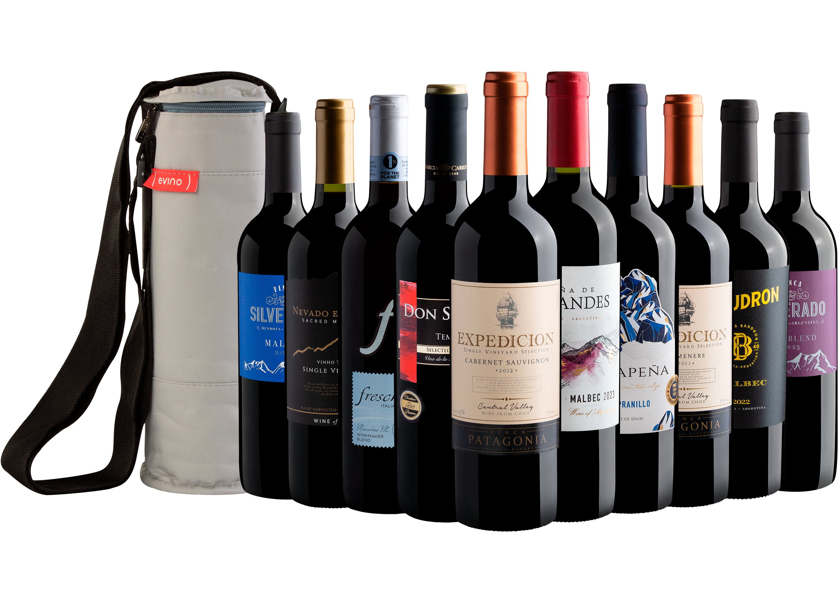 Kit 10 Vinhos Tintos + Bolsa Térmica Grátis