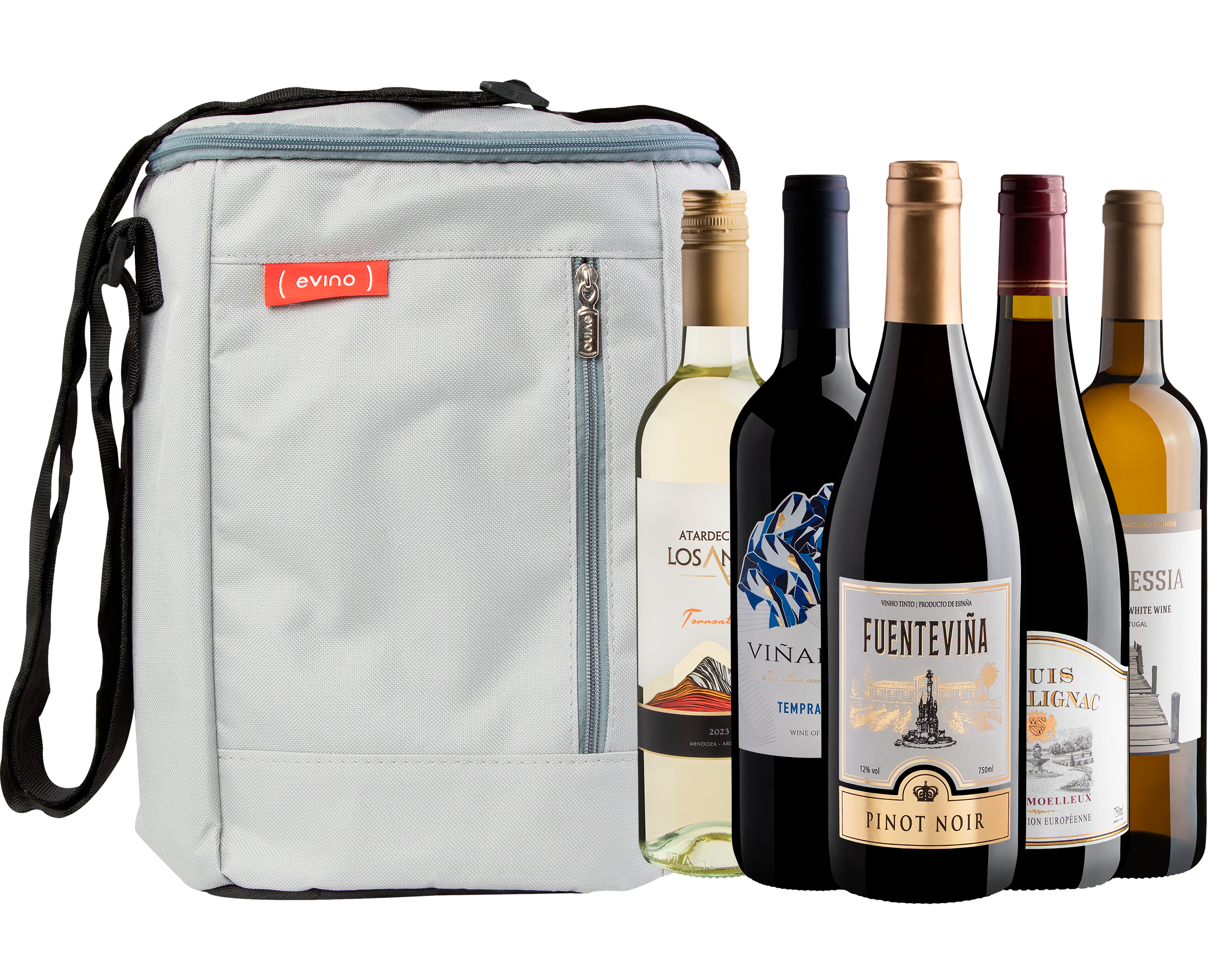 Kit 5 Levinhos + Bolsa Térmica 