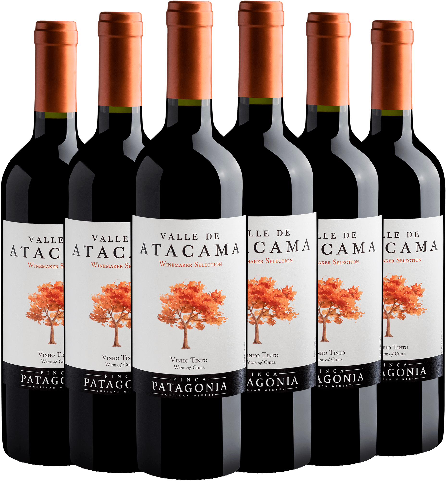 Kit 6 Valle de Atacama Vinho Tinto por R$21,90 cada garrafa