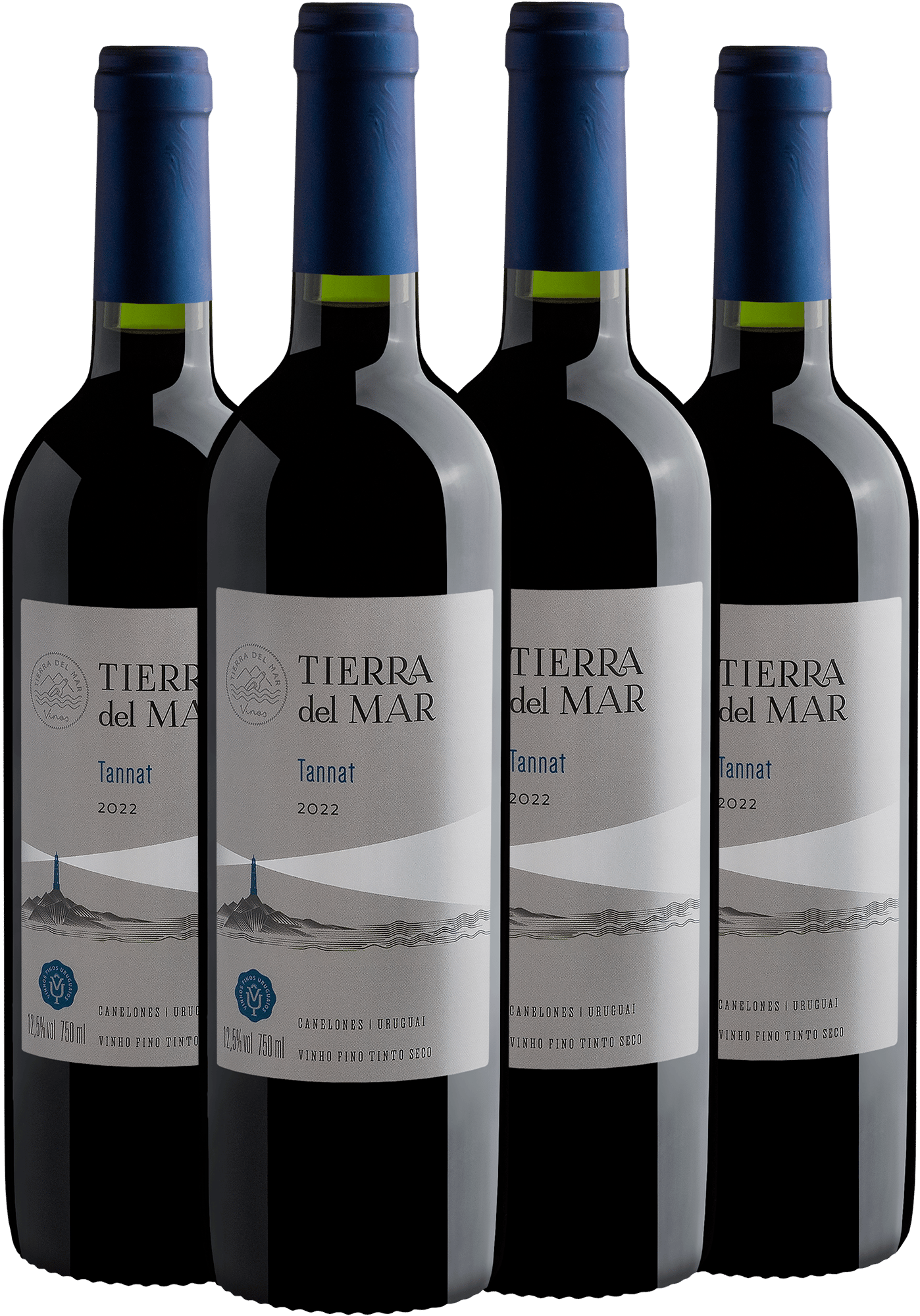 Kit 4 Tierra del Mar Tannat por R$34,90 cada garrafa + Frete Grátis*