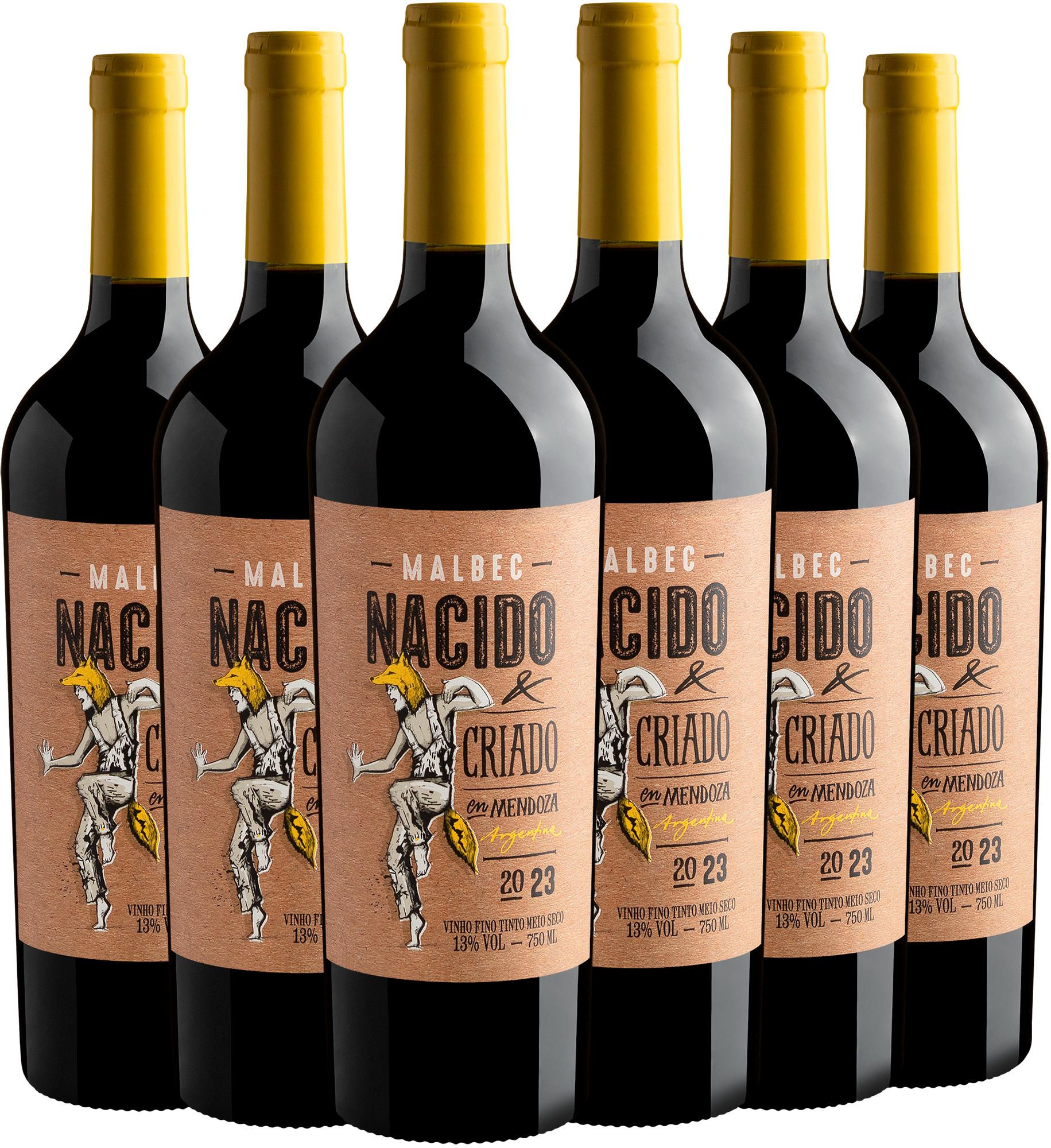 Kit 6 Nacido & Criado en Mendoza Malbec