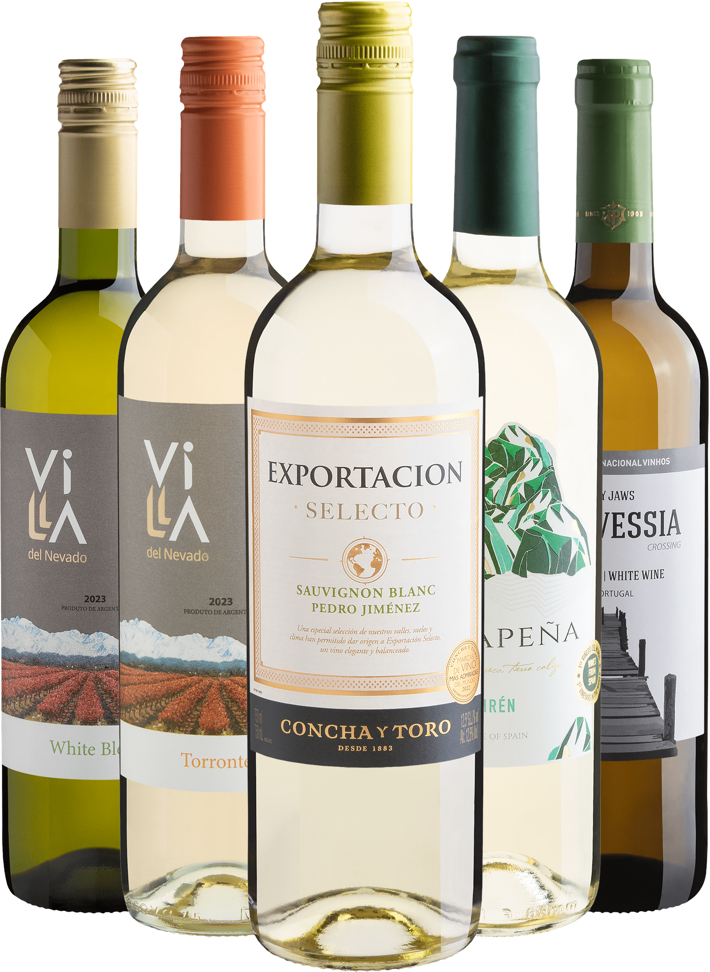 Kit 5 Vinhos Brancos com Exportacion Selecto Sauvignon Blanc-Pedro Jiménez por R$29,90 cada