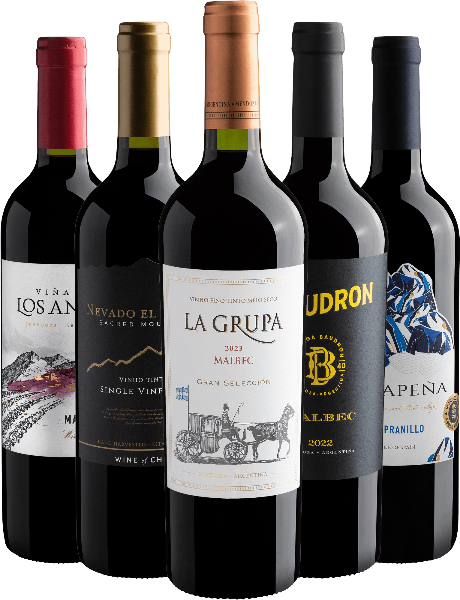 Kit 5 Campeões de Venda por R$26,90 cada garrafa