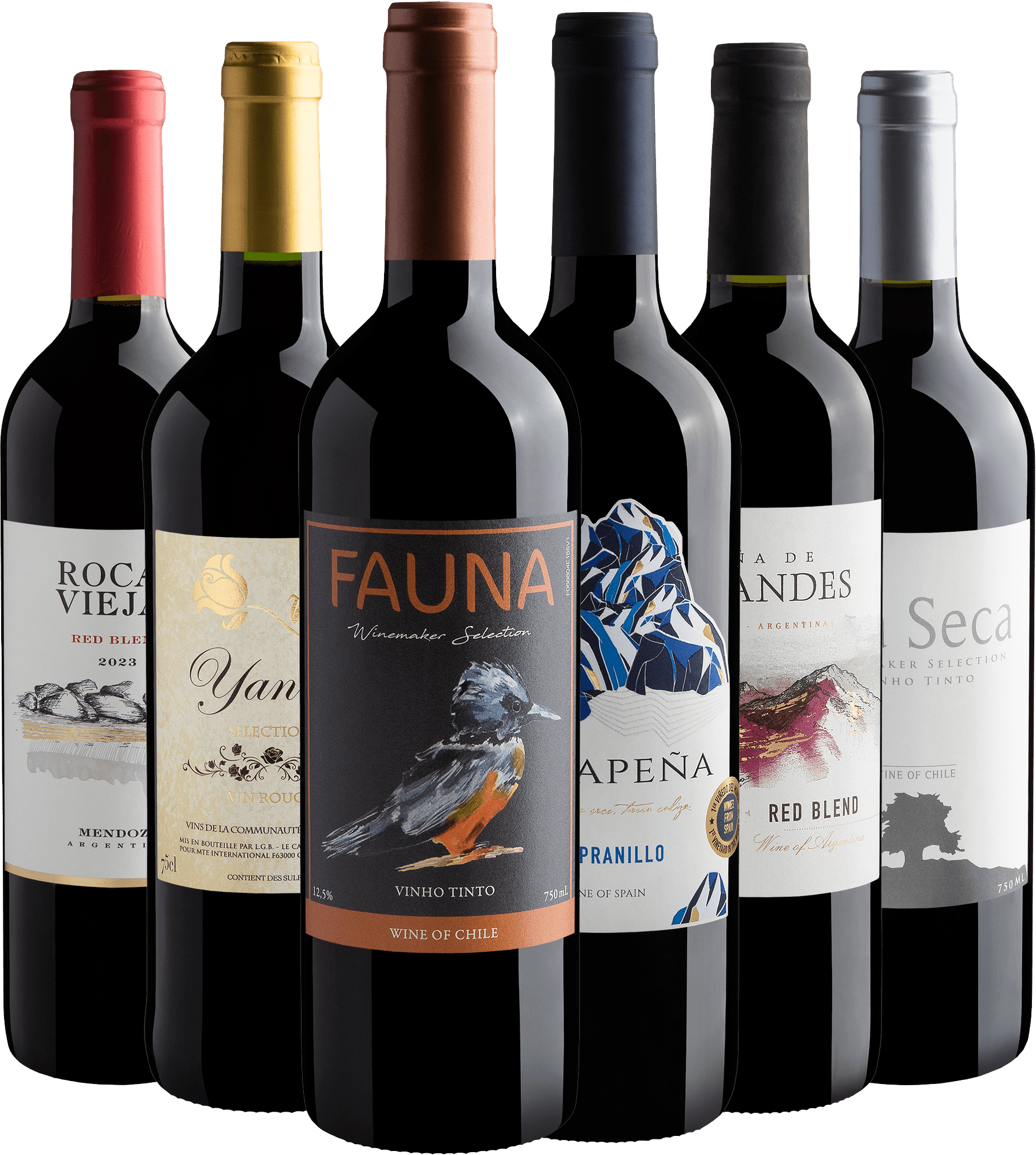 Kit 6 Vinhos Tintos por R$24,90 cada garrafa 