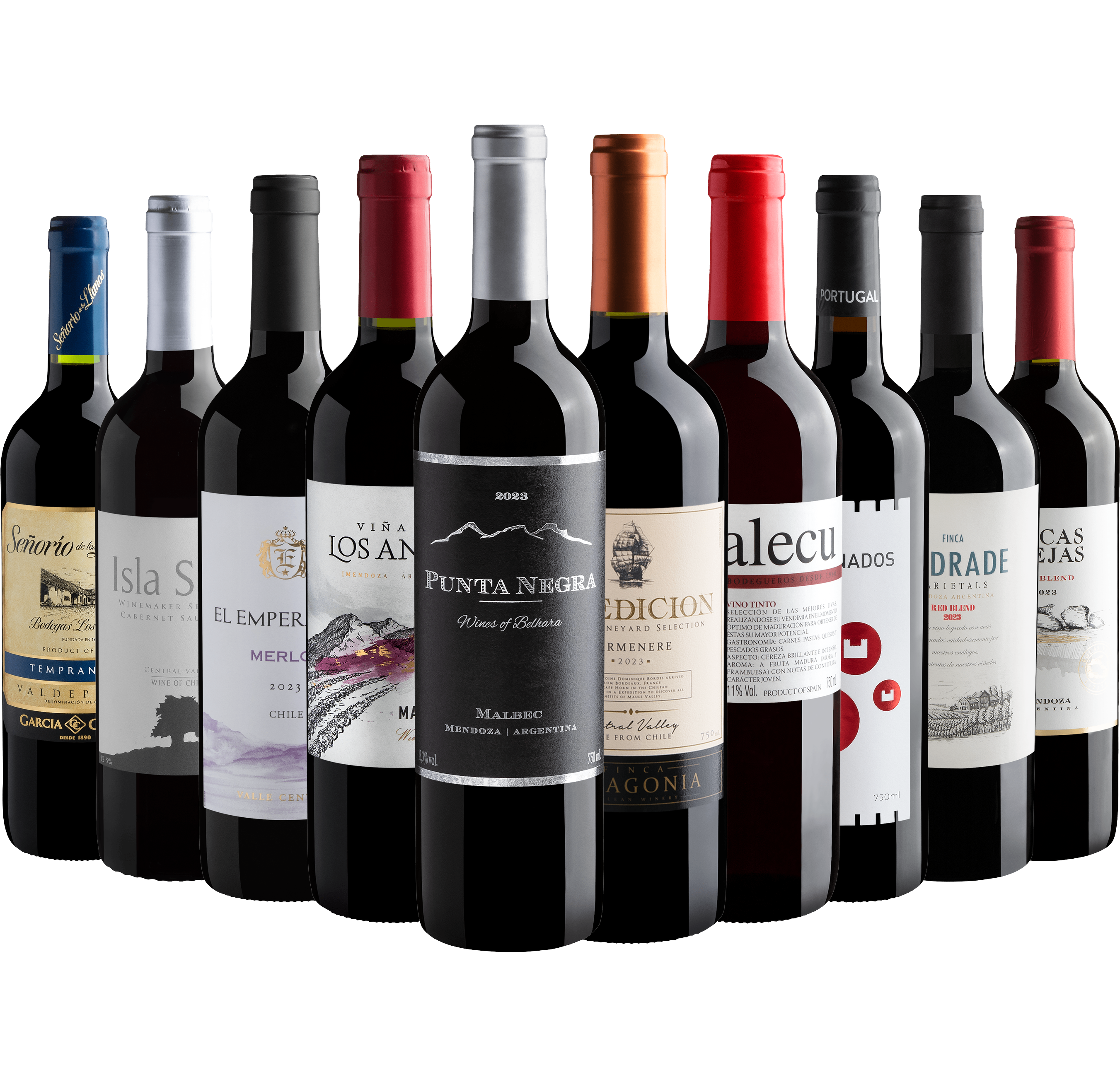 Kit 10 Vinhos por R$27,90 cada garrafa com Punta Negra 