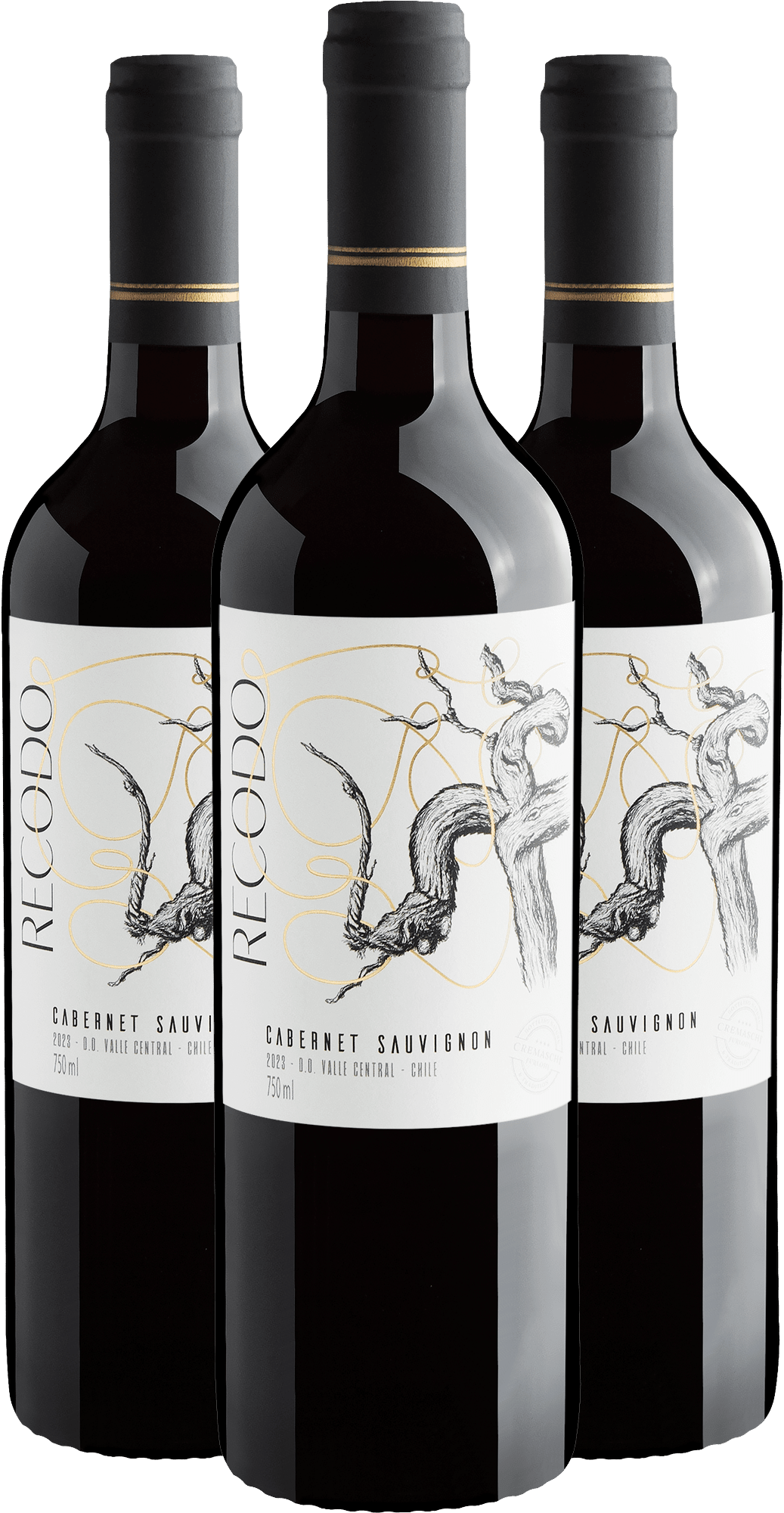 Kit 3 Recodo Cabernet Sauvignon Valle Central D.O.