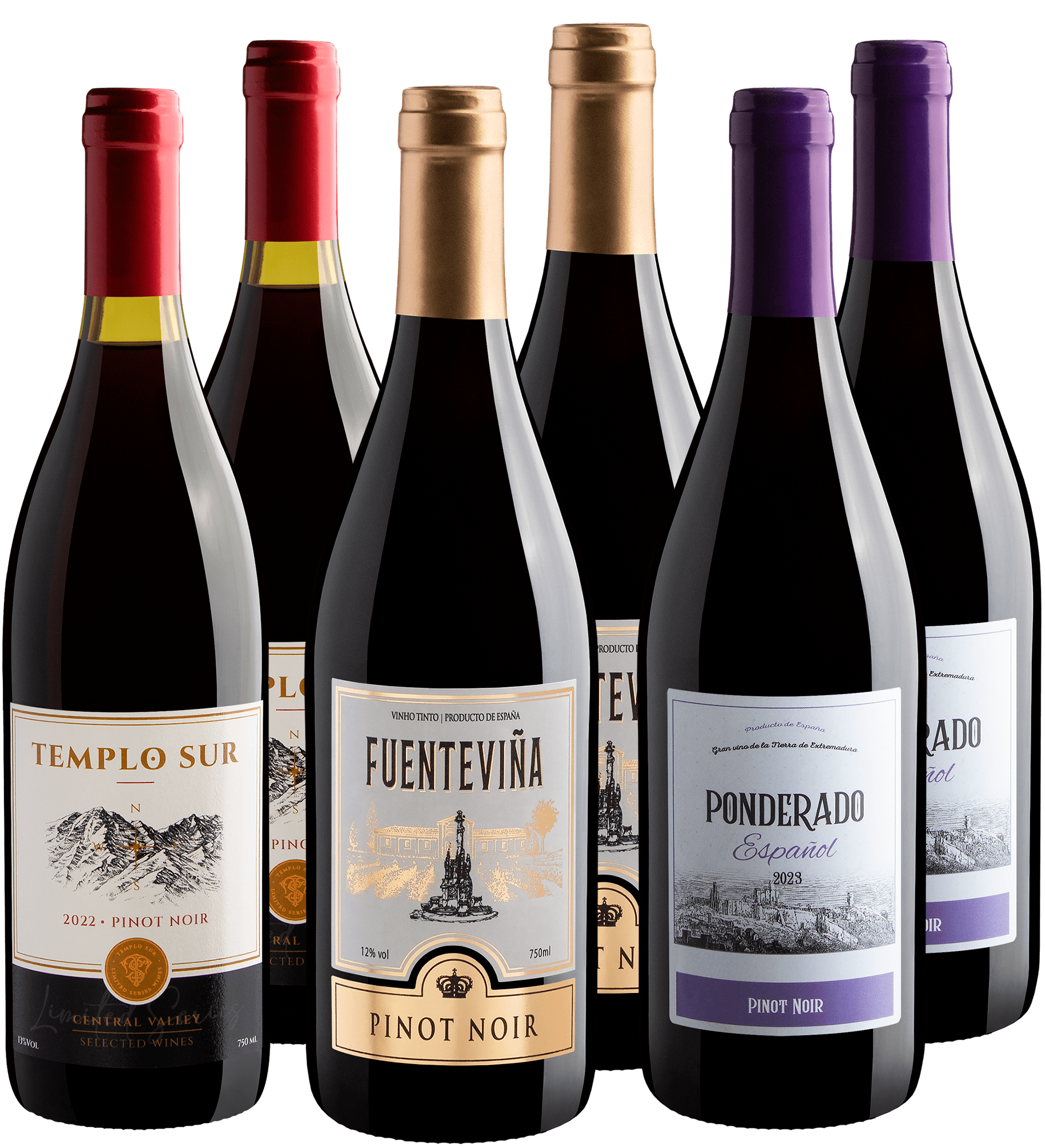 Kit Pinots Noirs | 6 garrafas por R$29,90 cada 