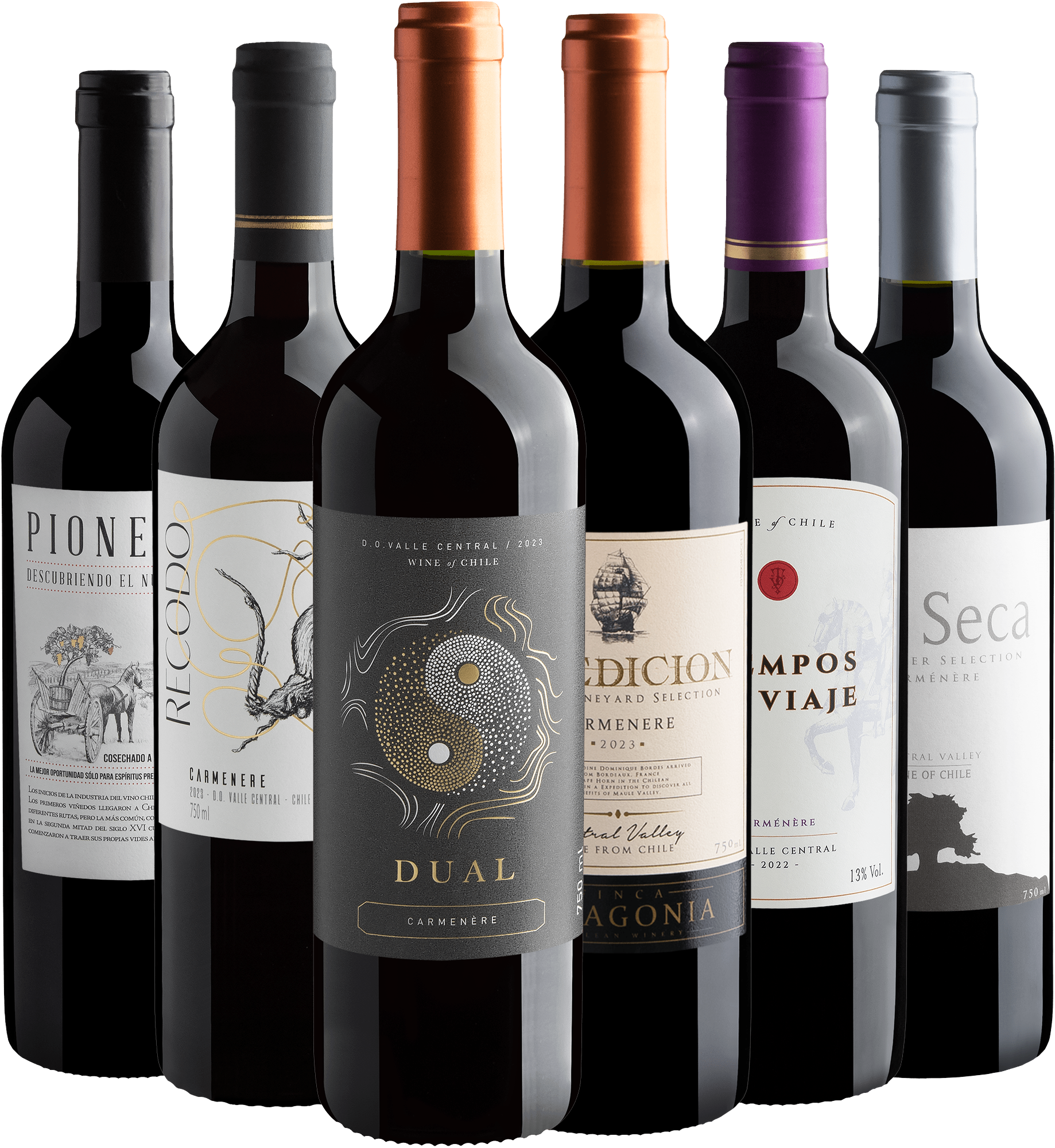 Kit Carménère's Chilenos