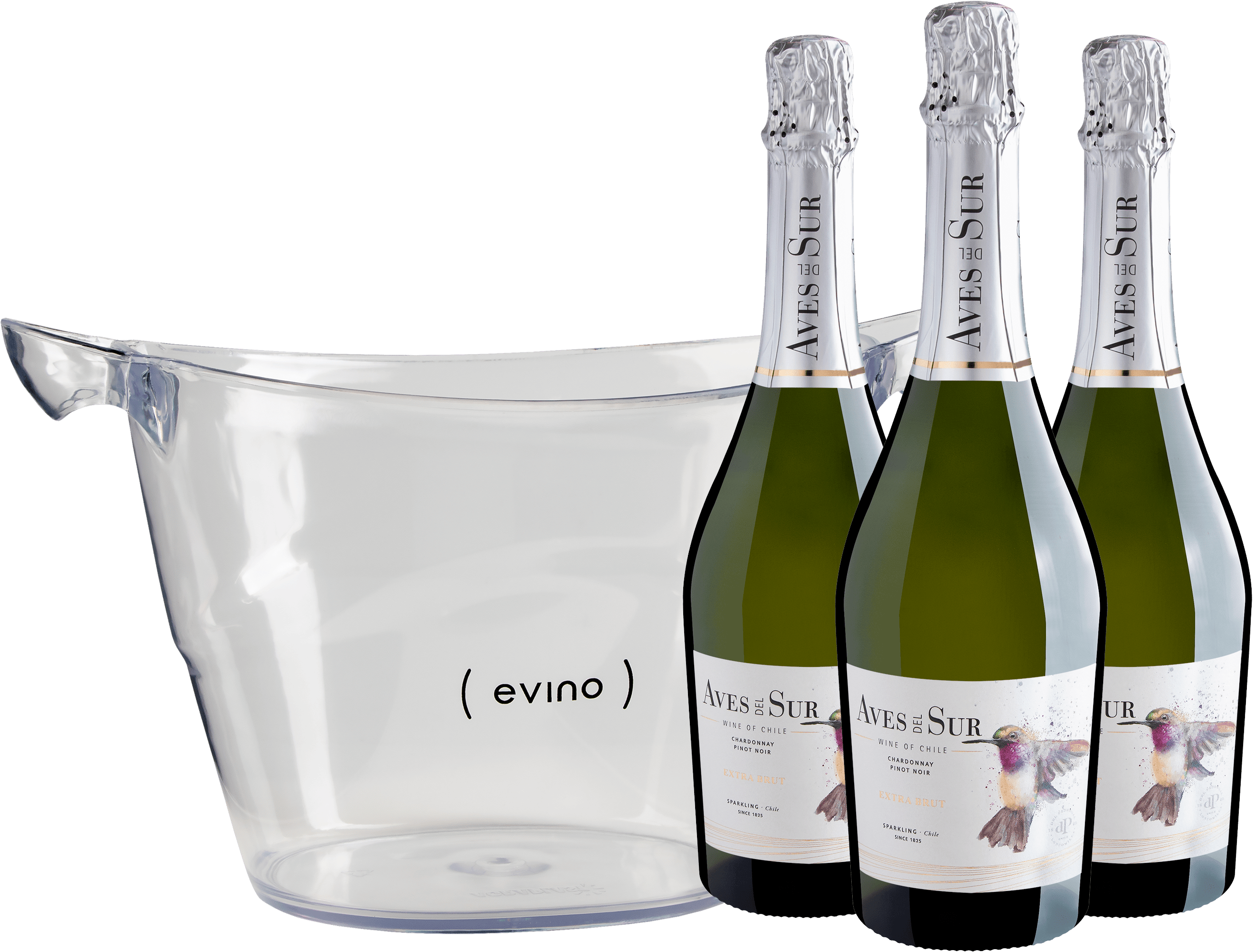 Kit 3 Aves del Sur Chardonnay-Pinot Noir Extra Brut + Champanheira Exclusiva