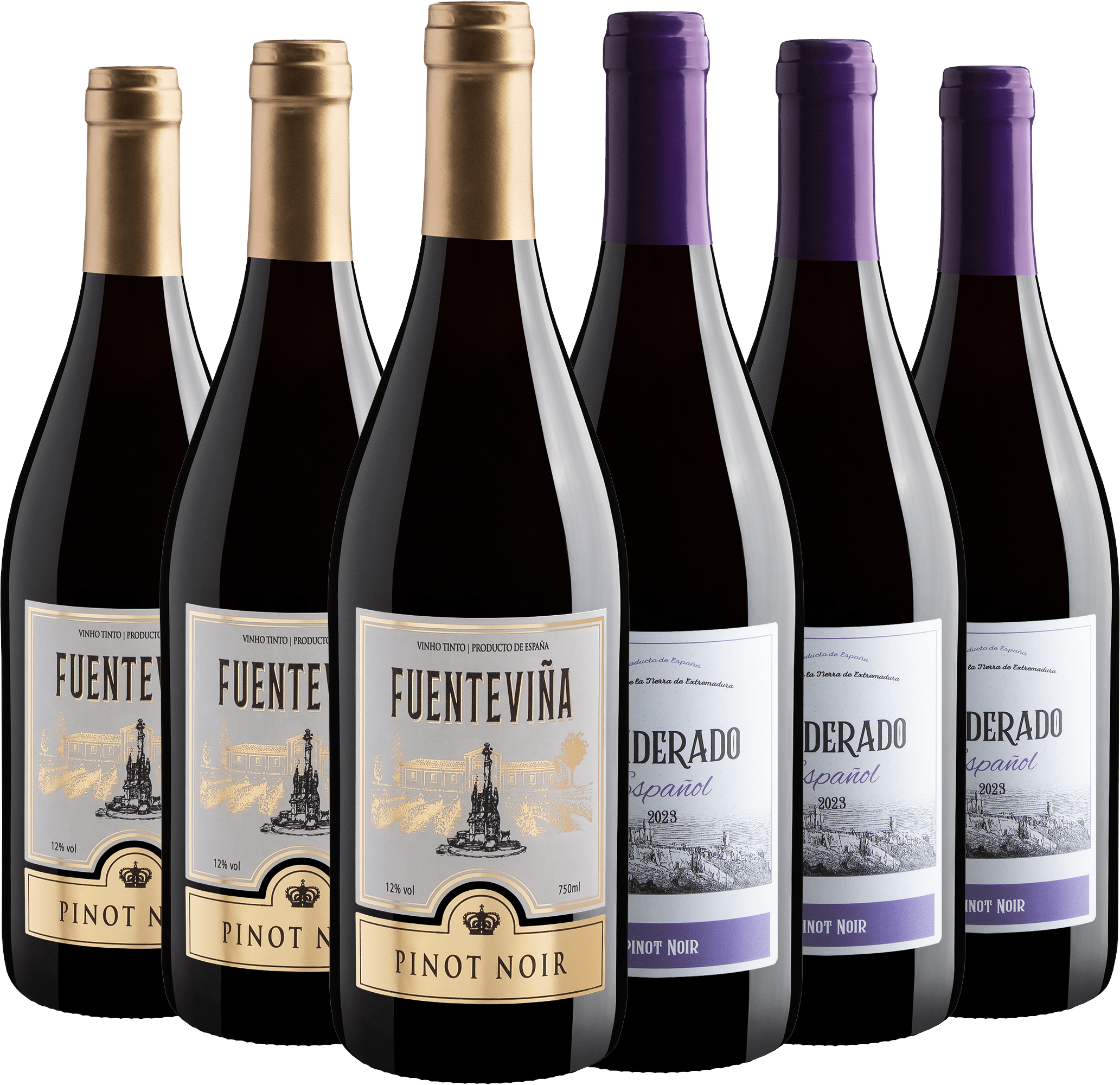 Kit Pinot Noir | 6 garrafas por R$29,90 cada
