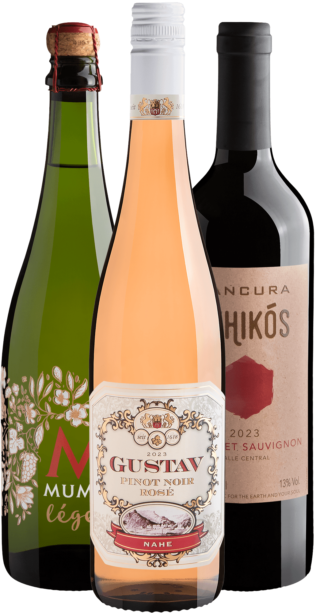 Seleção do Sommelier Vini: Vinhos para conhecer 