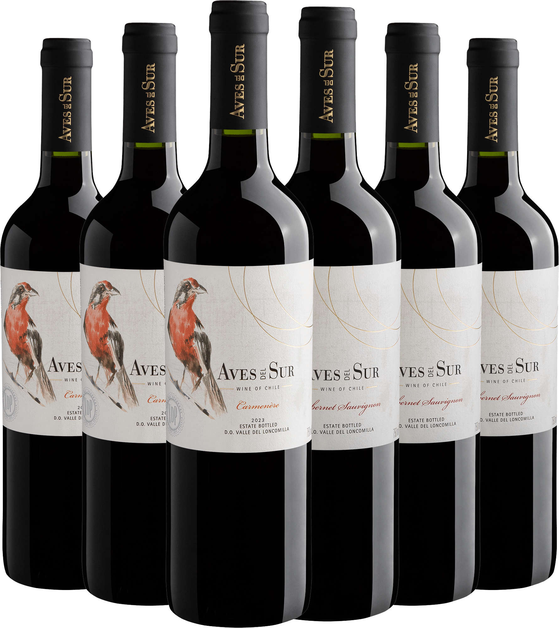 Kit Aves Del Sur | 3 Cabernet Sauvignon + 3 Carménère por R$34,90 cada garrafa