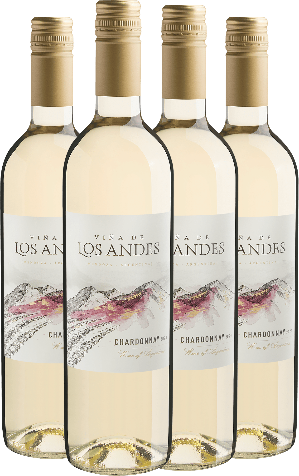 Kit 4 Viña de Los Andes  Chardonnay por R$29,90 cada garrafa