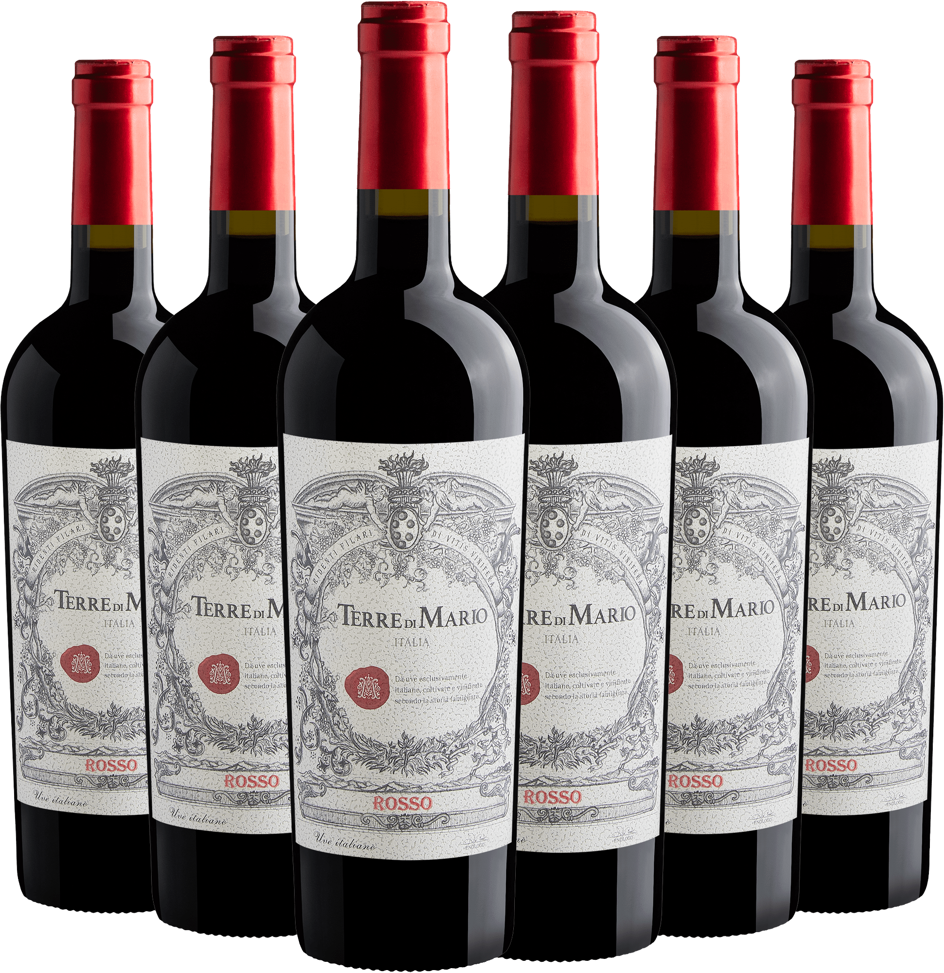 Kit 6 Terre di Mario Vino Rosso-Abboccato