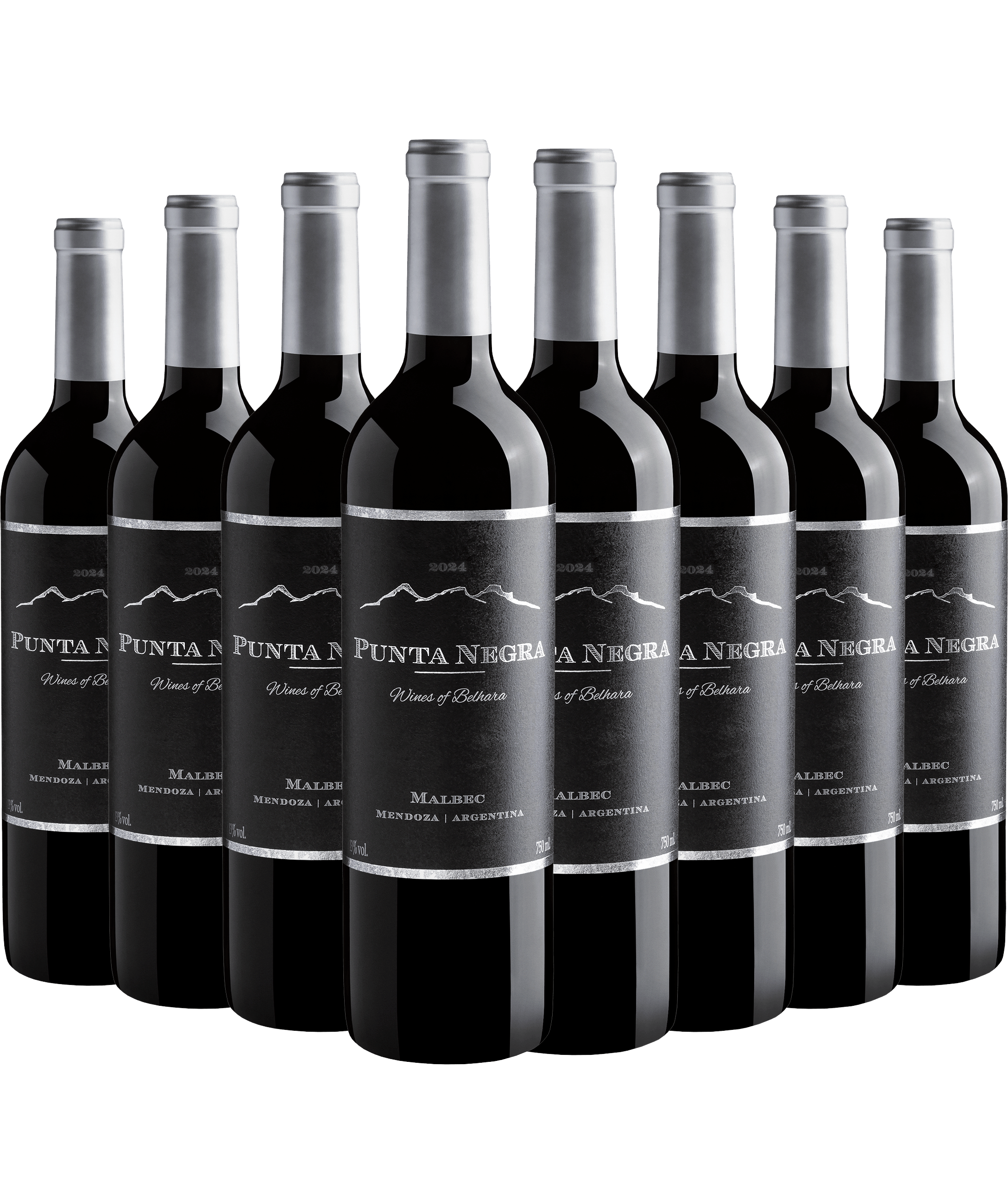 Kit 8 Punta Negra Wines of Belhara Malbec por R$34,90 cada garrafa 