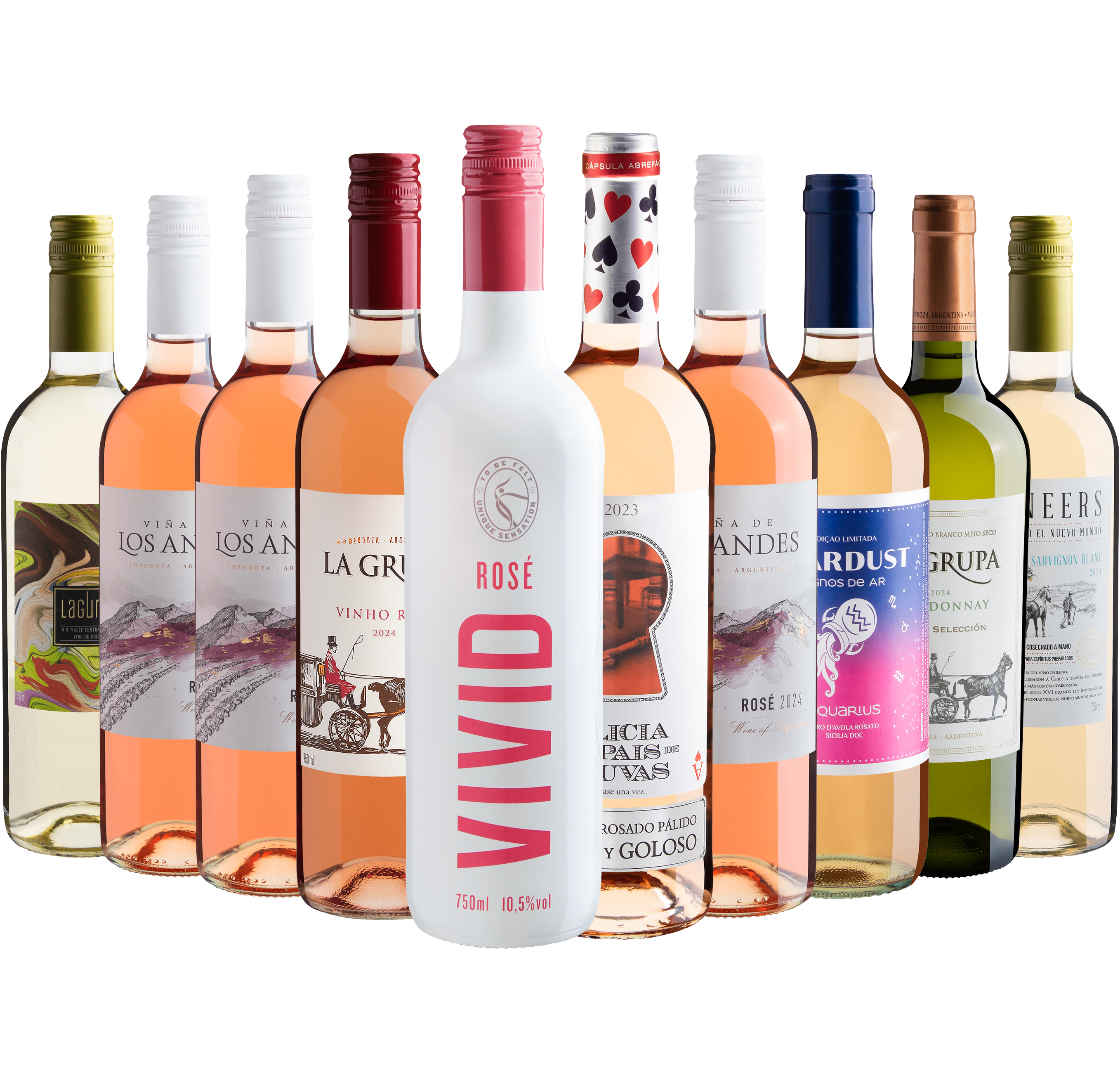 10 Vinhos Refrescantes por R$27,90 cada garrafa com Vivid Rosé e Alicia Rosado