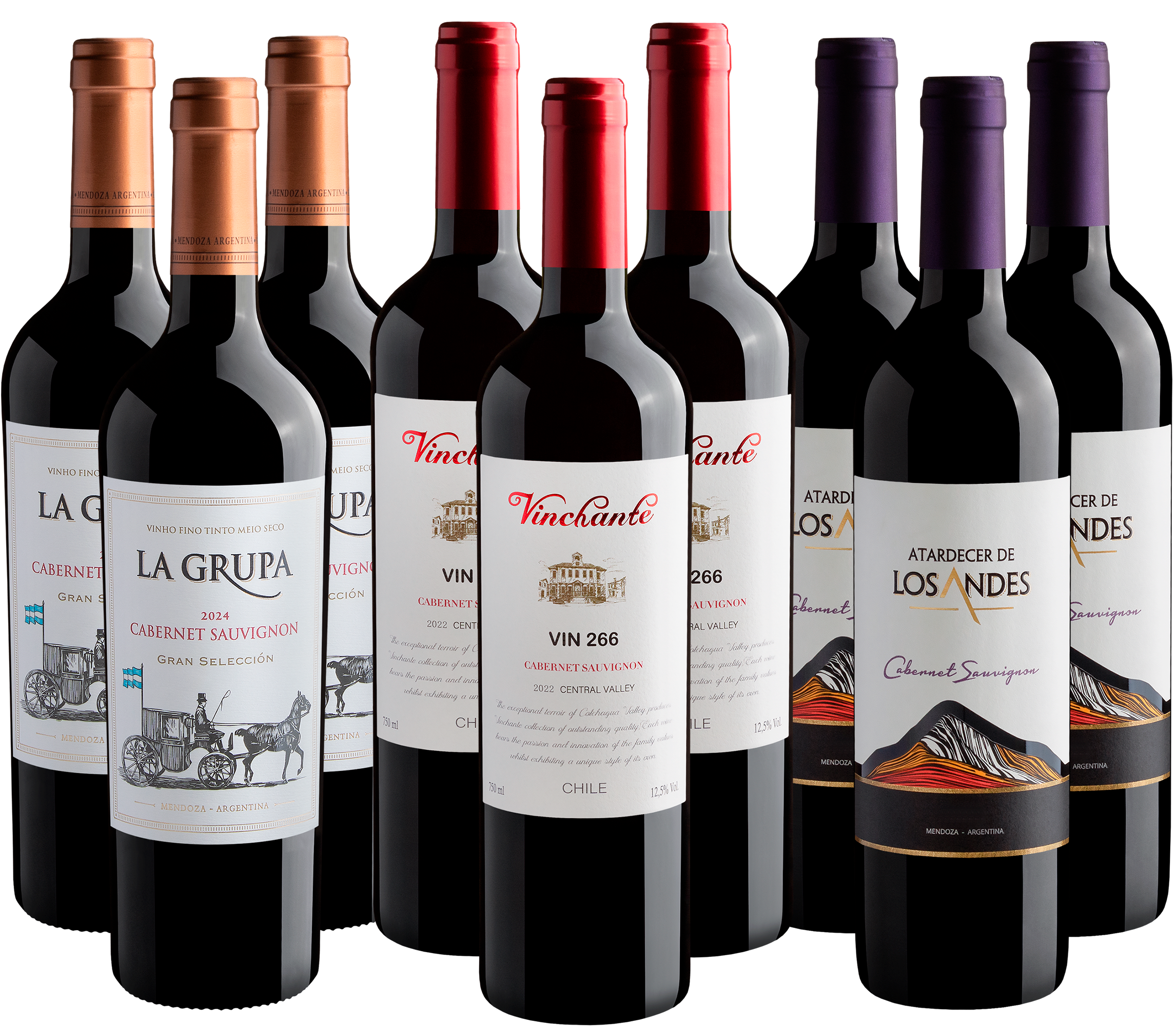 Kit Cabernets Sauvignons | 9 garrafas por R$26,90 cada 