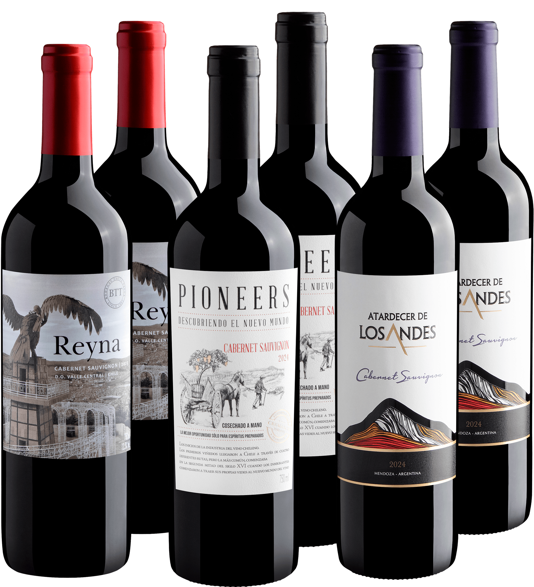 Kit Cabernets Sauvignons em Dobro | 6 garrafas por R$29,90 cada