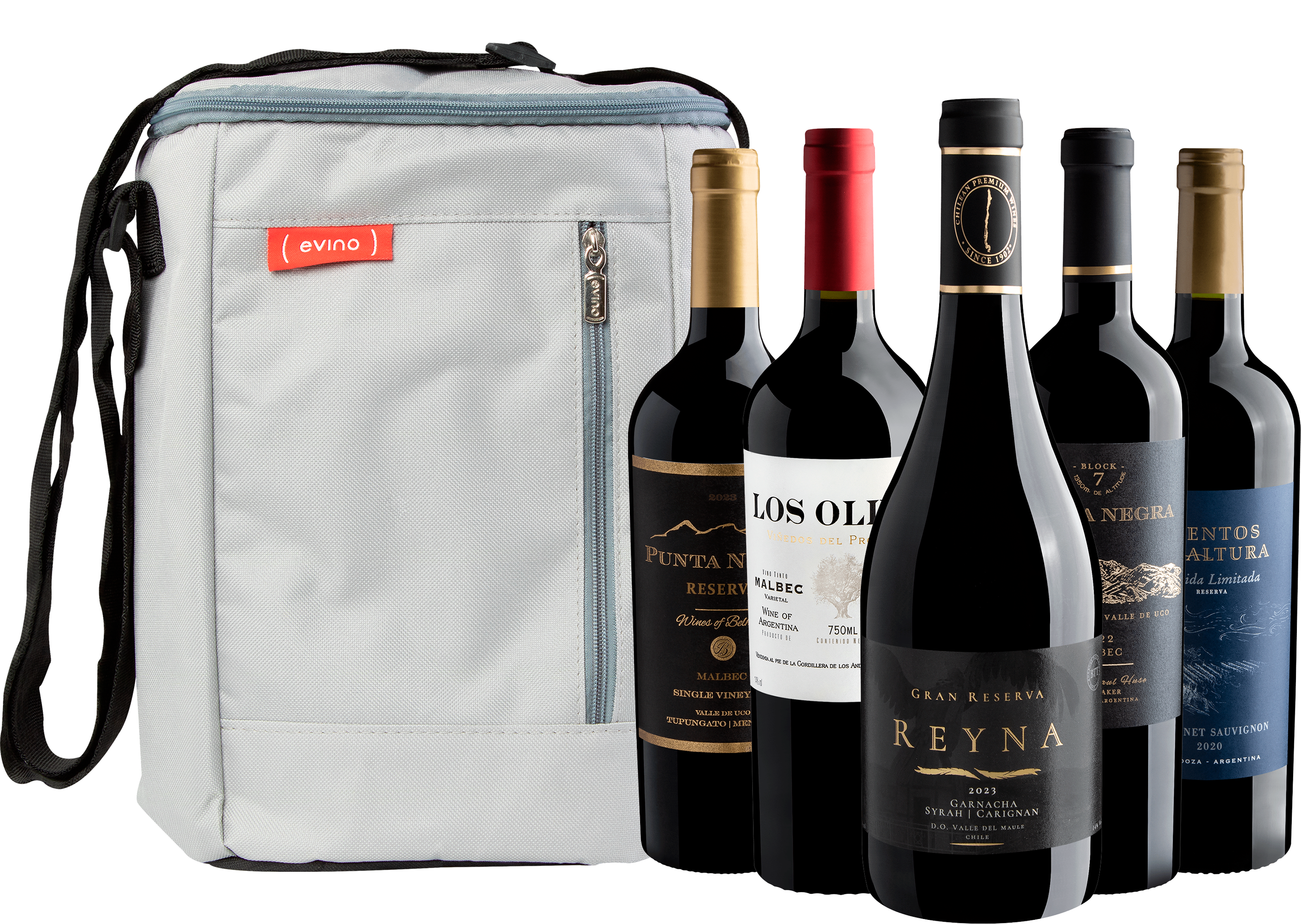 Kit 5 Vinhos Notáveis do Novo Mundo por R$88,90 cada garrafa + Bolsa Exclusiva Grátis
