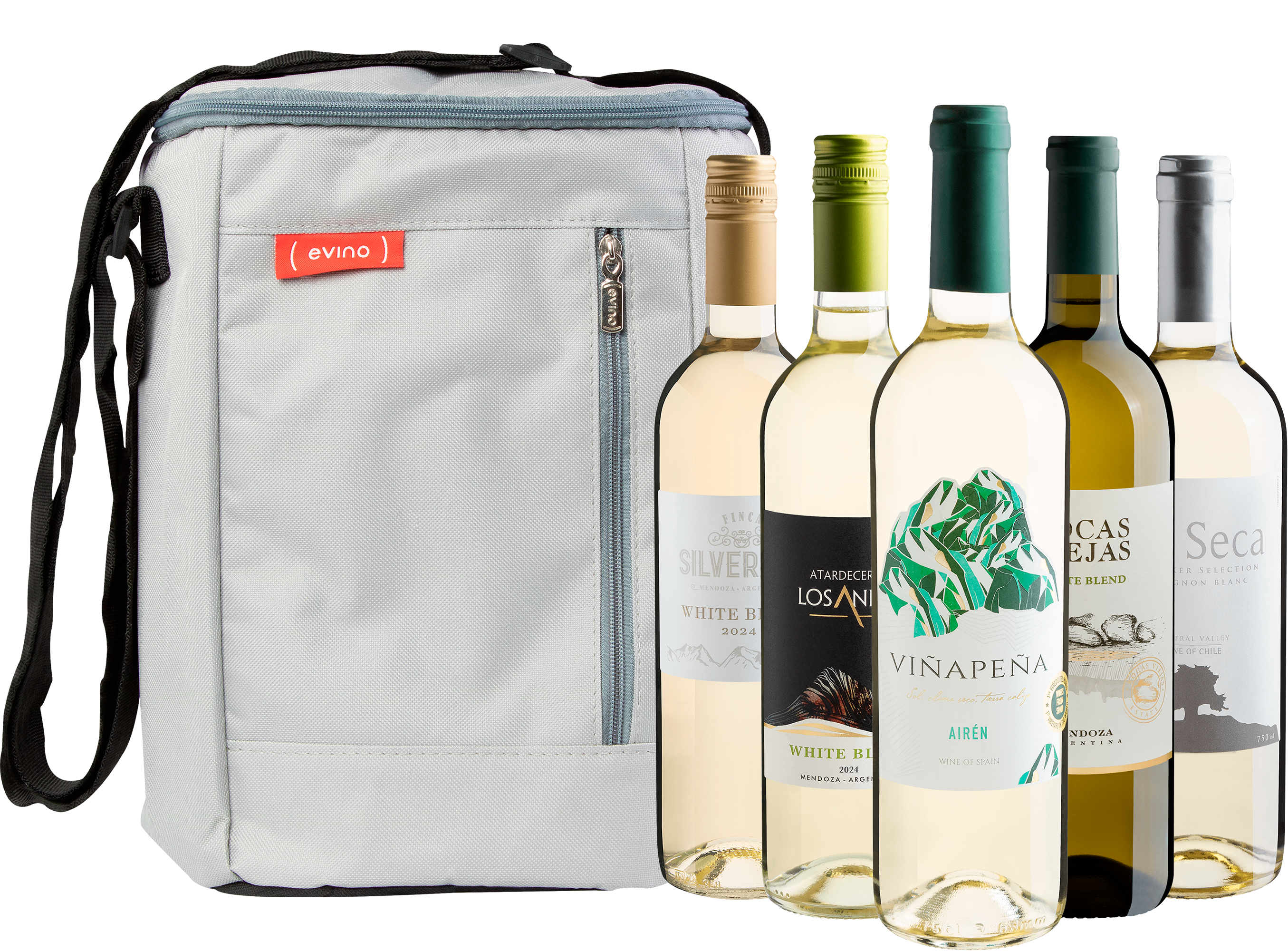 Kit 5 Vinhos Brancos + Bolsa Exclusiva 