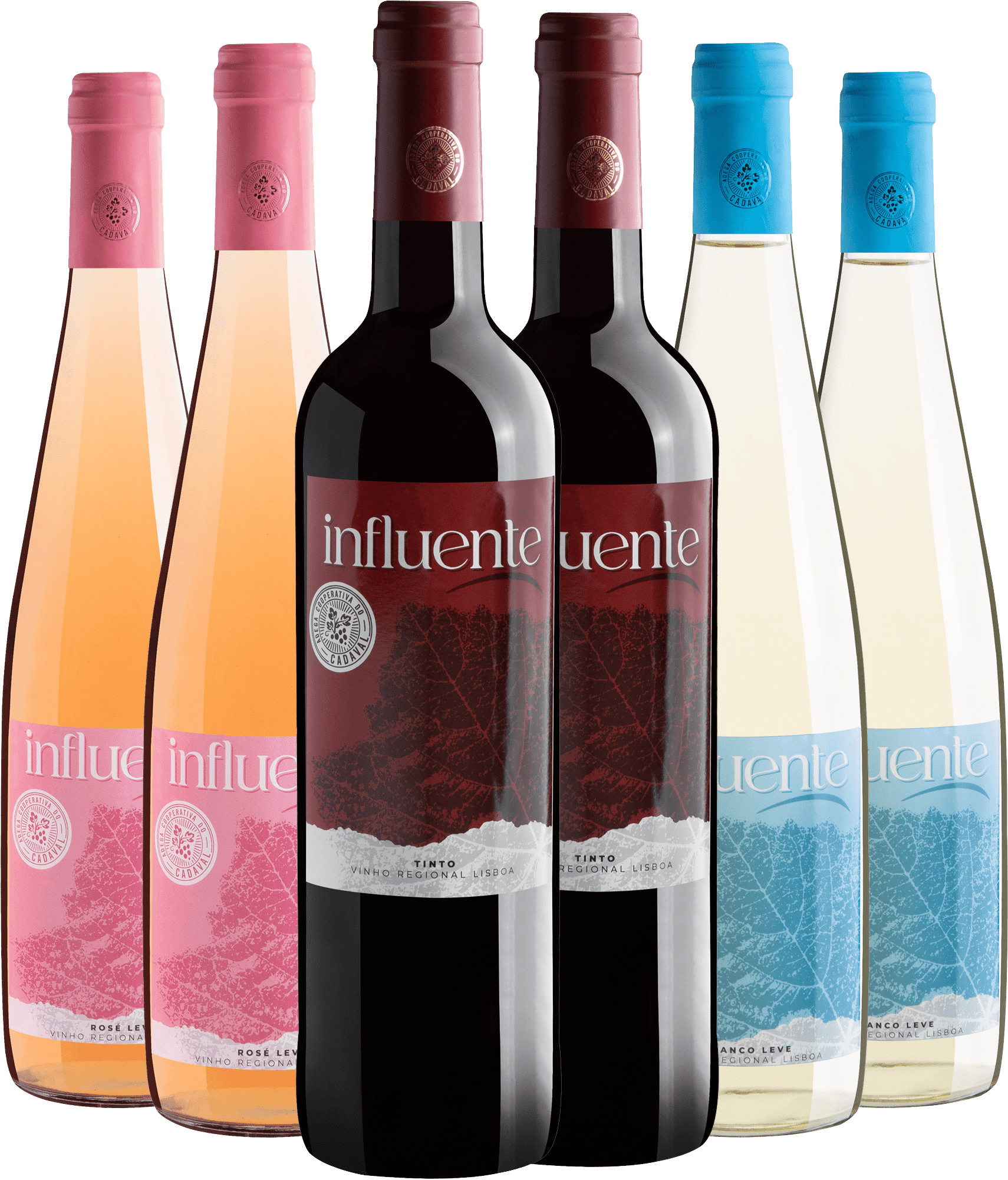 Kit Influente: 2 Tintos + 2 Brancos + 2 Rosés