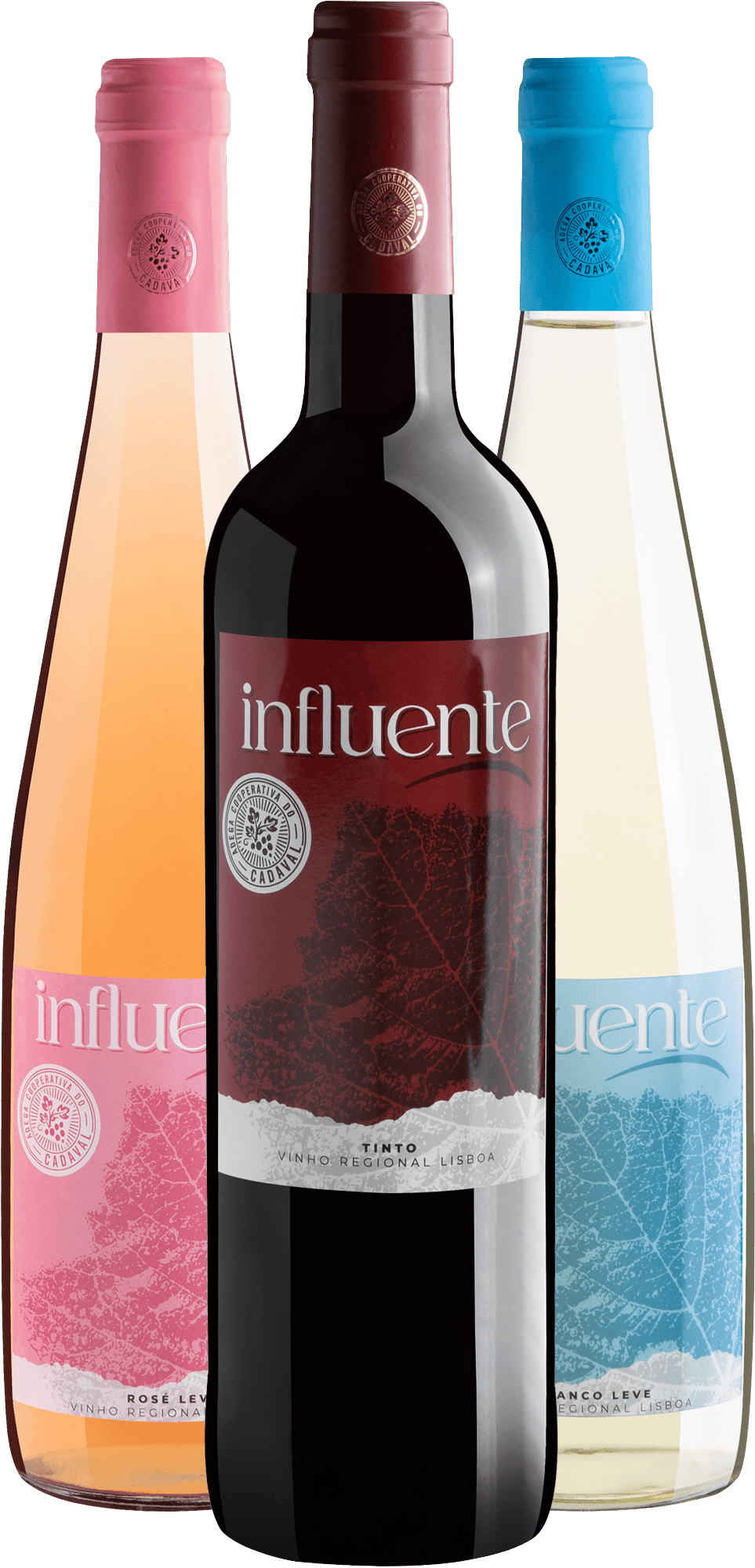 Kit Trio Linha Influente