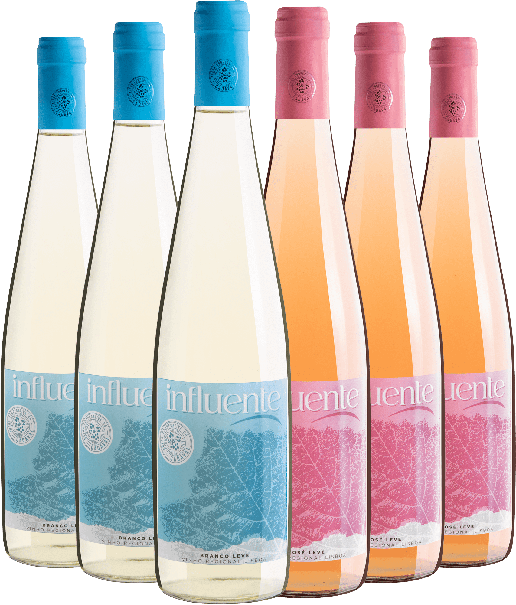 Kit Influente: 3 Brancos + 3 Rosés