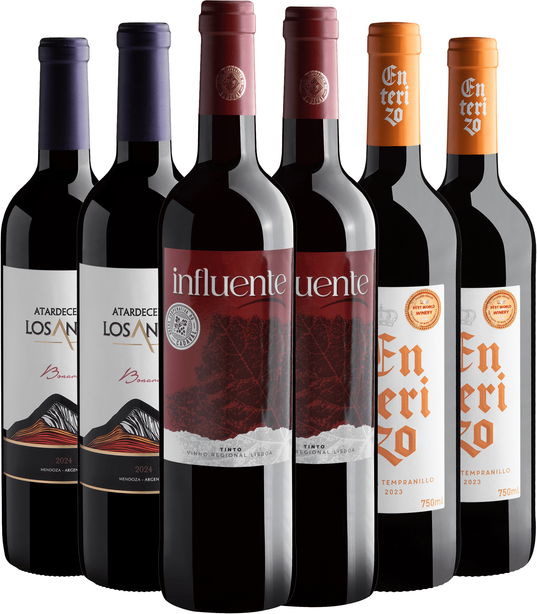 Kit Vinhos Medalhados | 6 garrafas por R$29,90 cada 