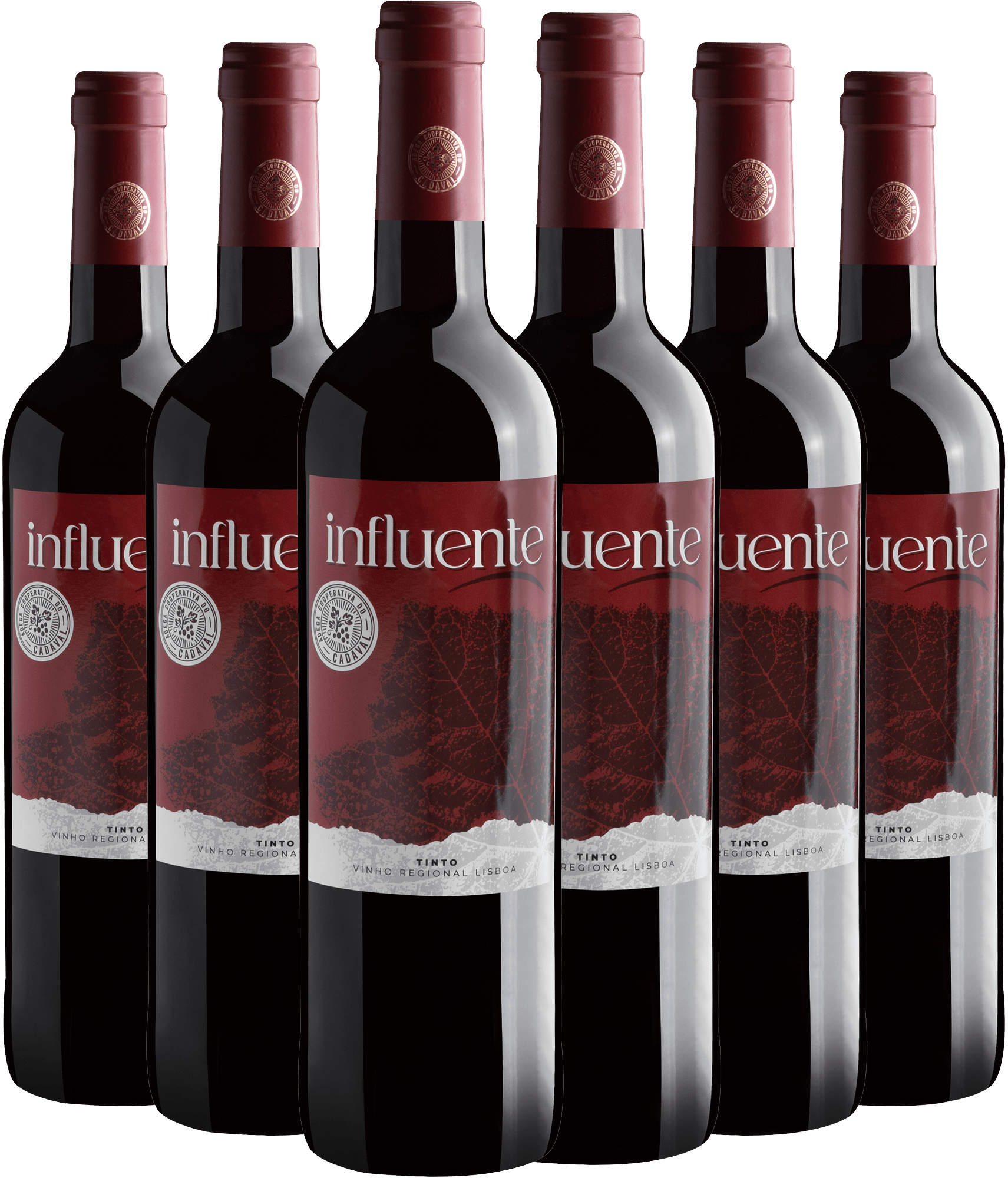 Kit 6 Influente Tinto Vinho Regional Lisboa