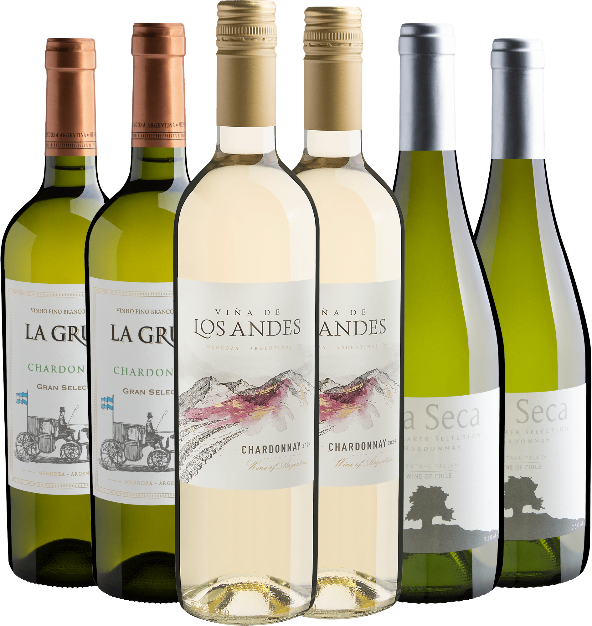 Kit 6 Chardonnays por R$28,90 cada garrafa 