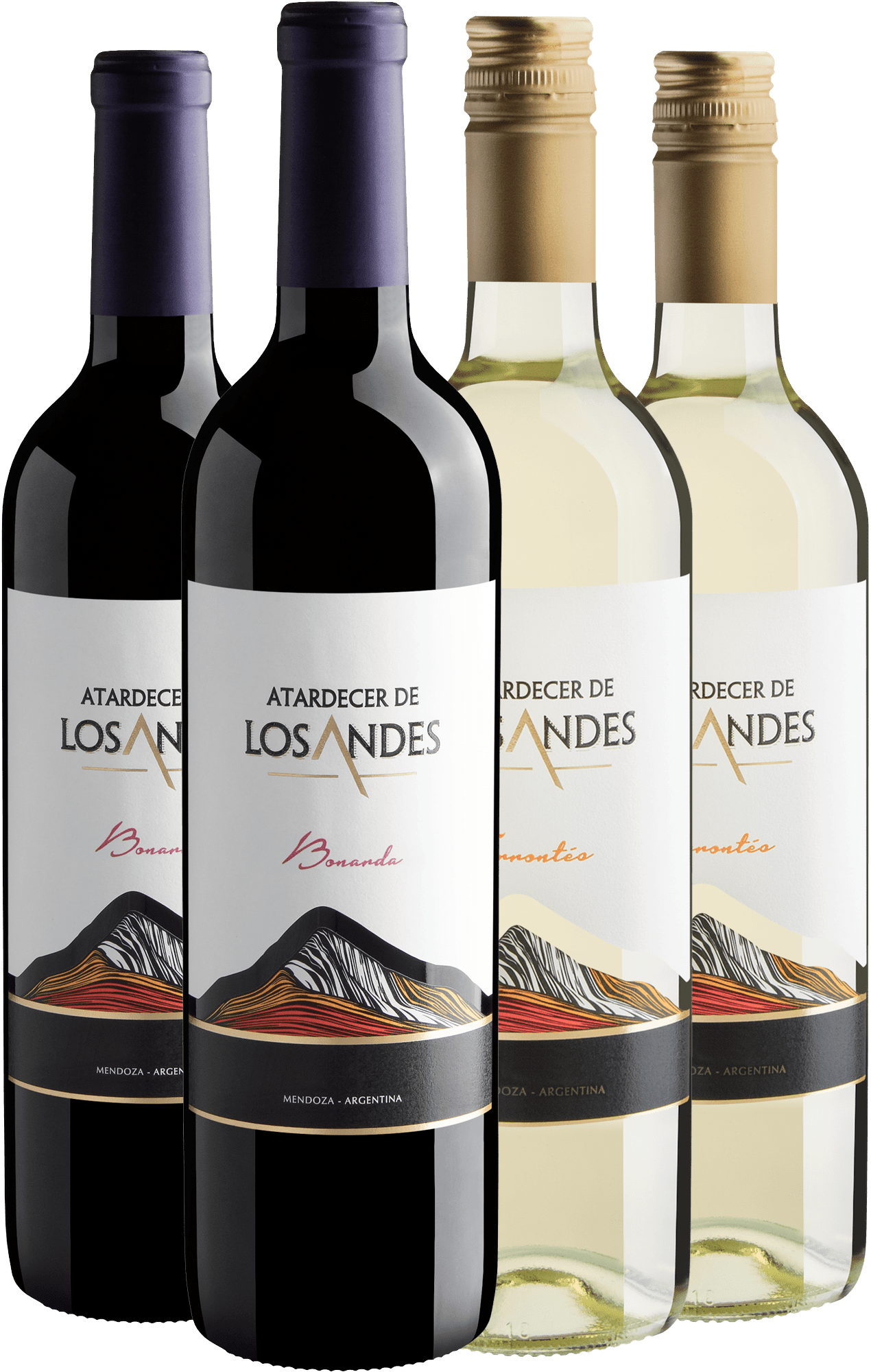 Kit Atardecer de Los Andes | 2 Bonarda + 2 Torrontés