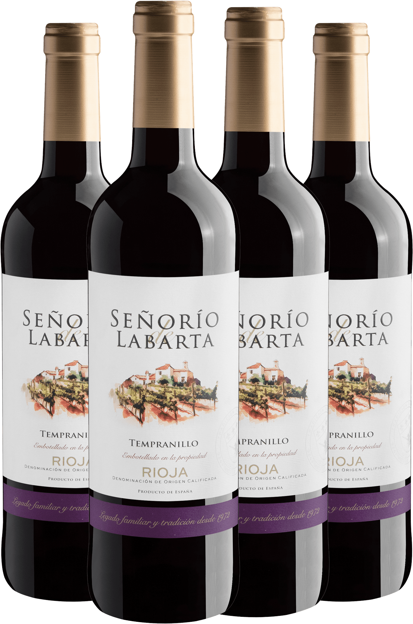 Kit 4 Señorio de Labarta Rioja DOC