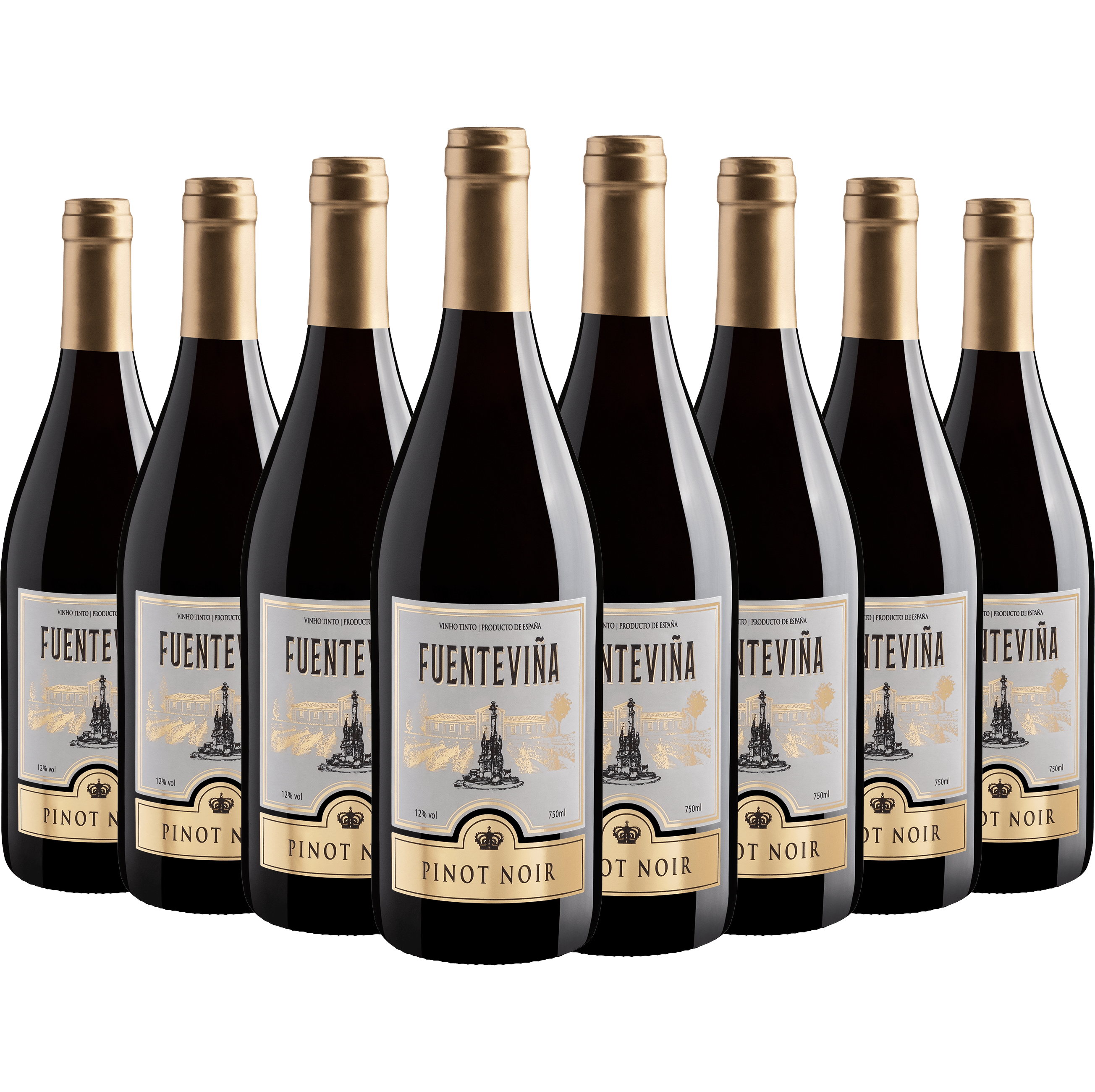 Kit 8 Fuenteviña Pinot Noir*