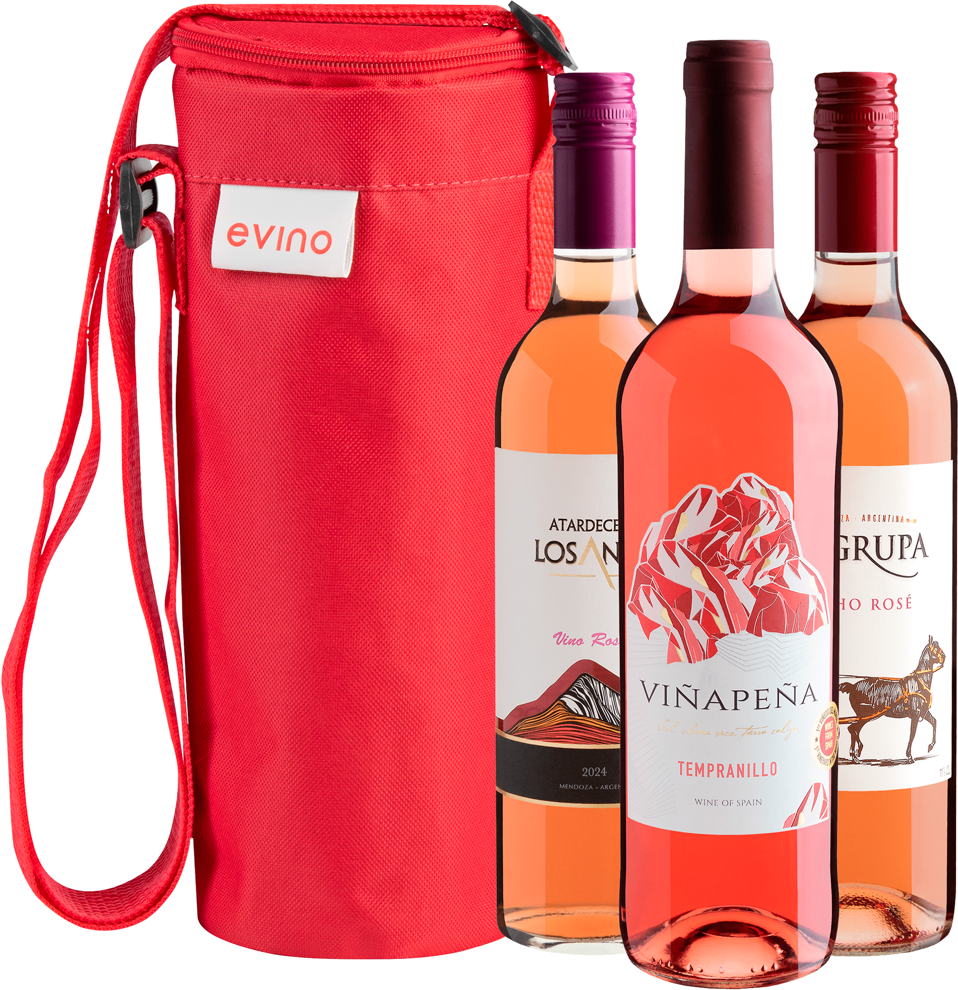 Kit 3 Vinhos Rosés + Bolsa Exclusiva