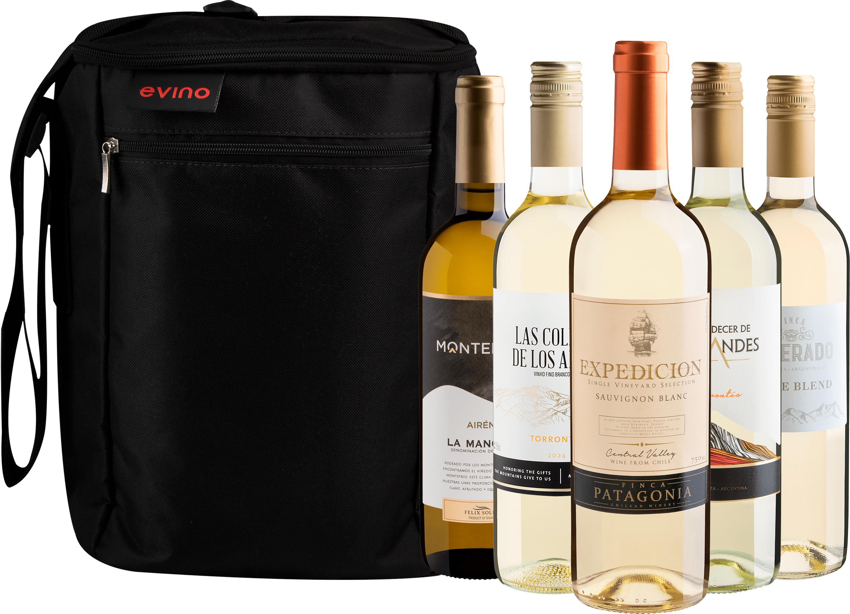 Kit 5 Vinhos Brancos + Bolsa Exclusiva