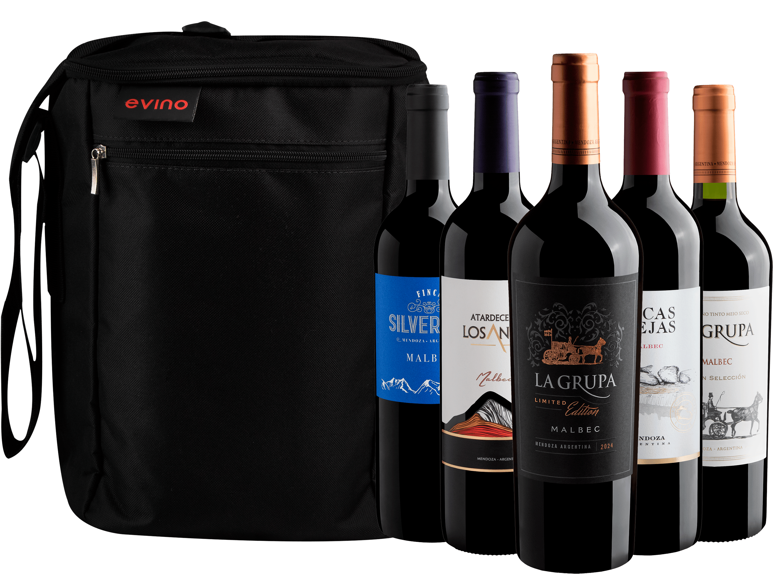 Kit 5 Malbecs + Bolsa Exclusiva