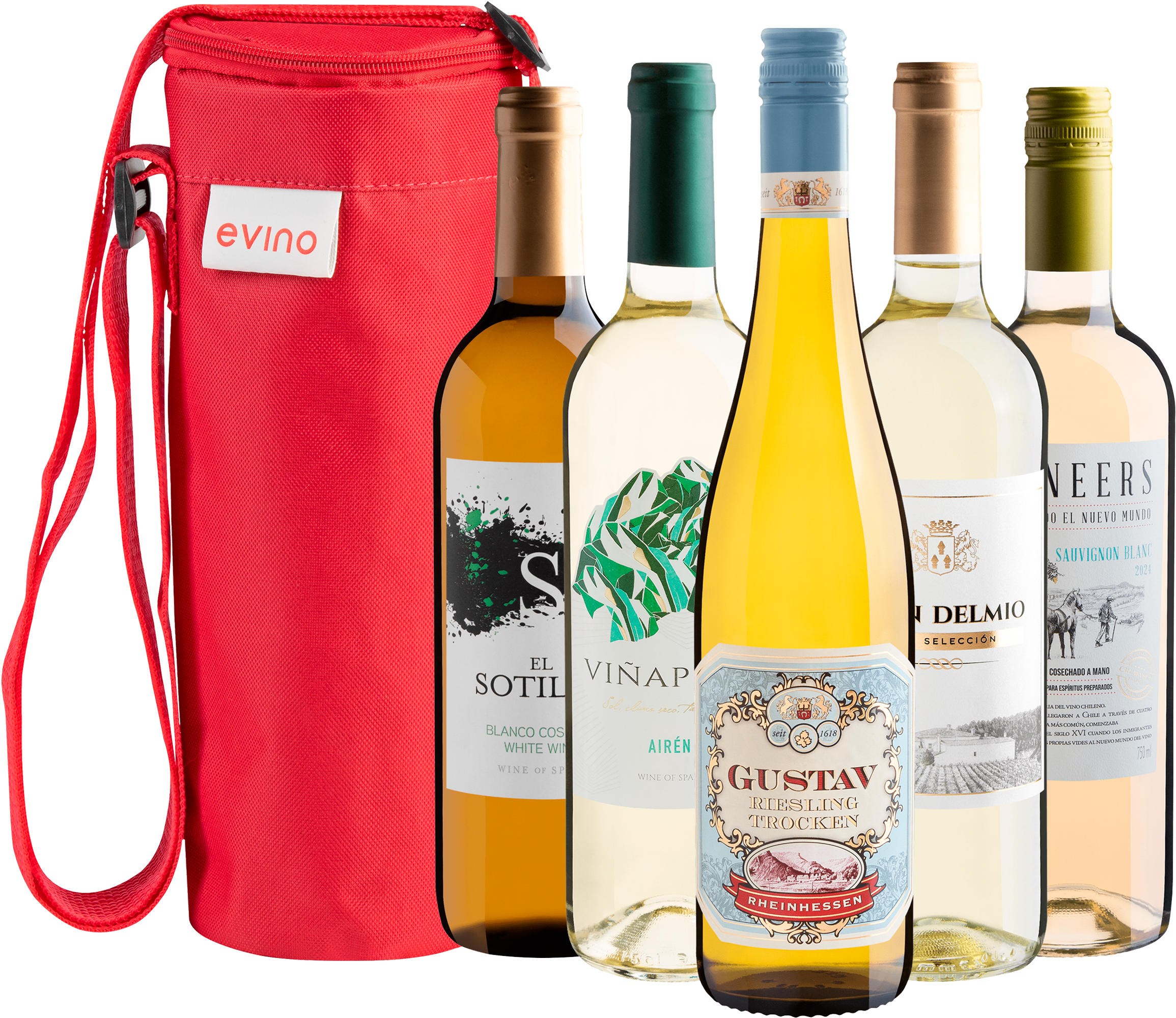 Kit 5 Vinhos Brancos + Bolsa Exclusiva 