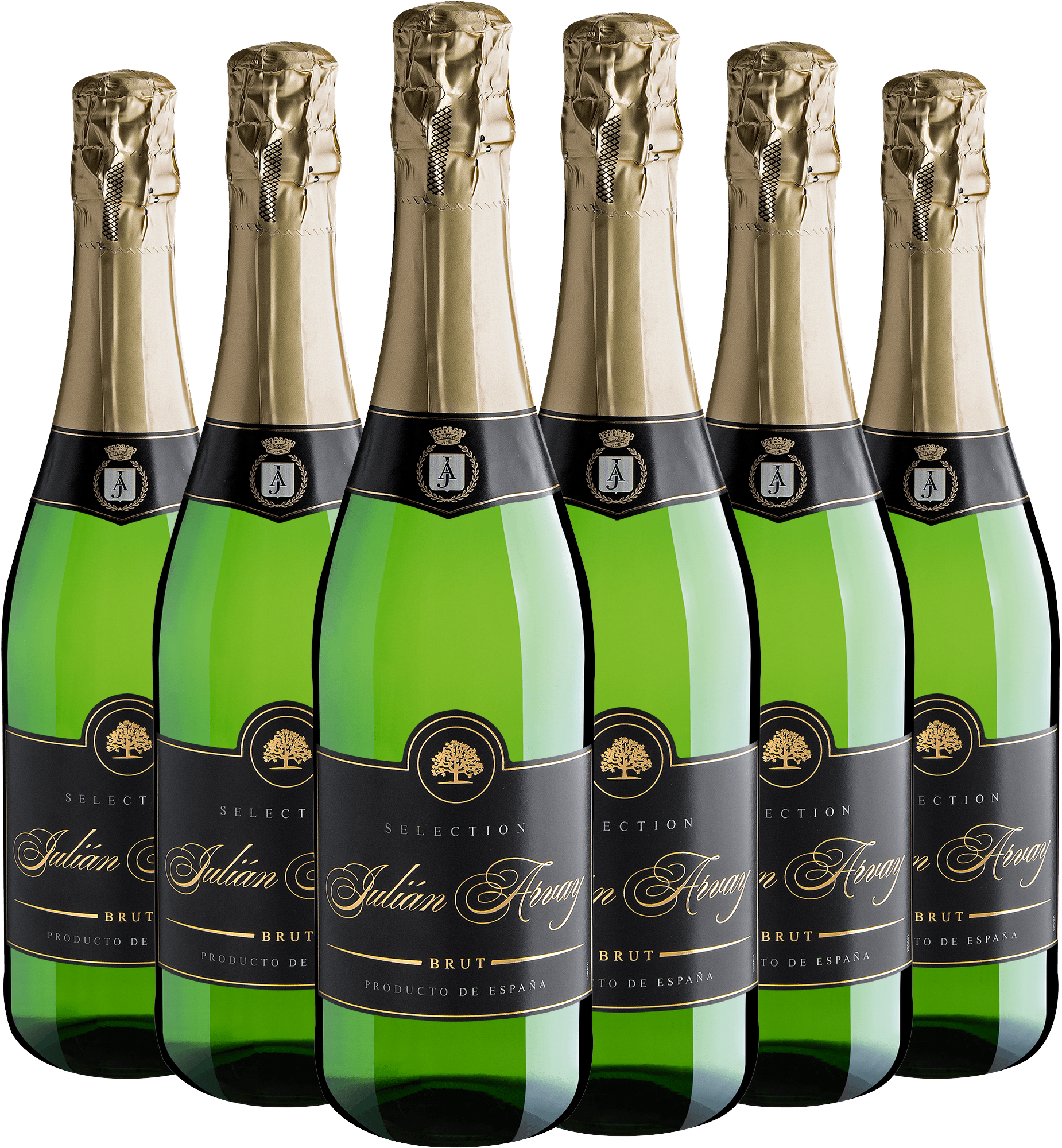 Kit 6 Julián Arvay Selection Brut