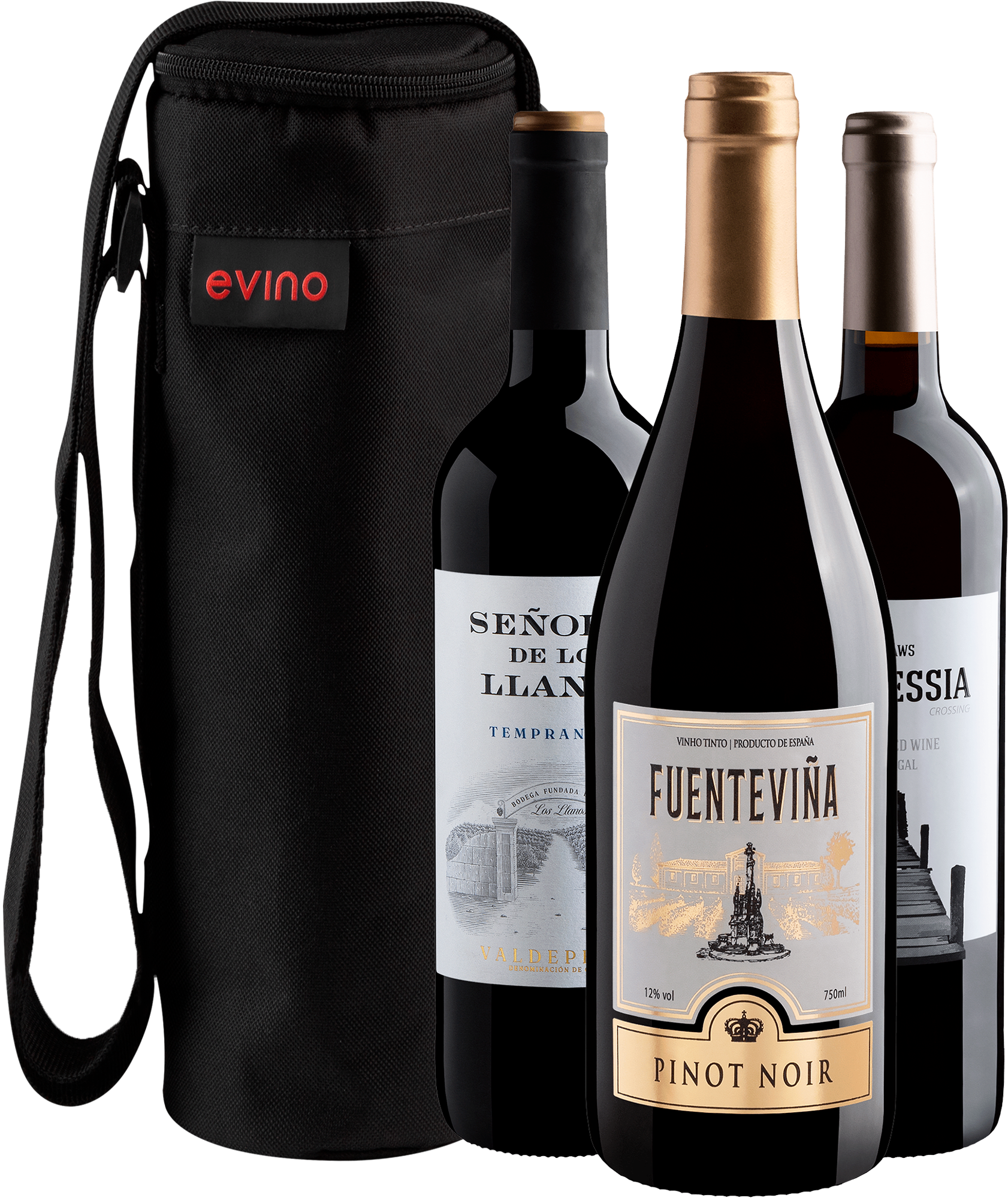 Kit 3 Vinhos do Velho Mundo + Bolsa Exclusiva