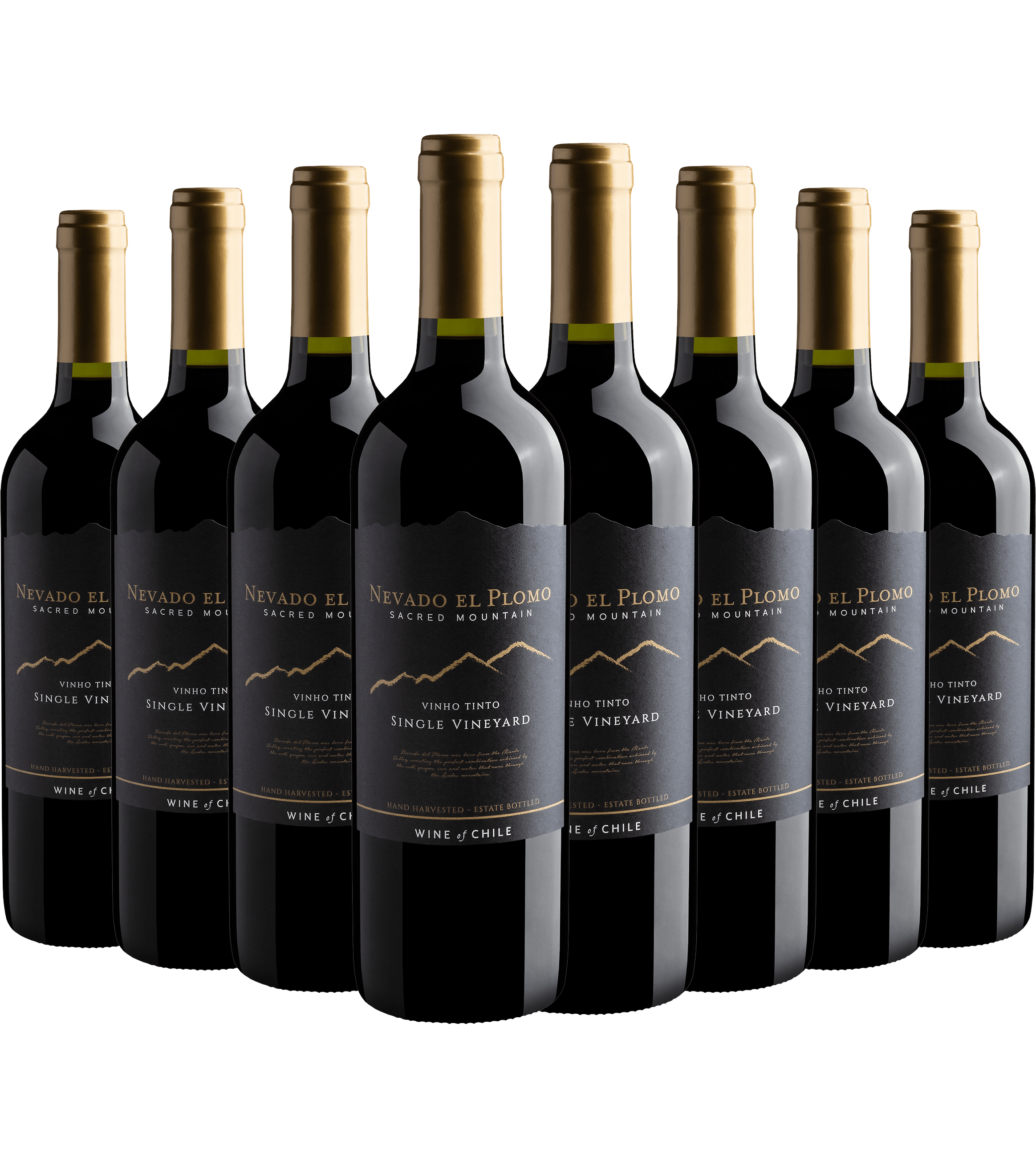 Kit 8 Nevado El Plomo Sacred Mountain Single Vineyard Tinto*
